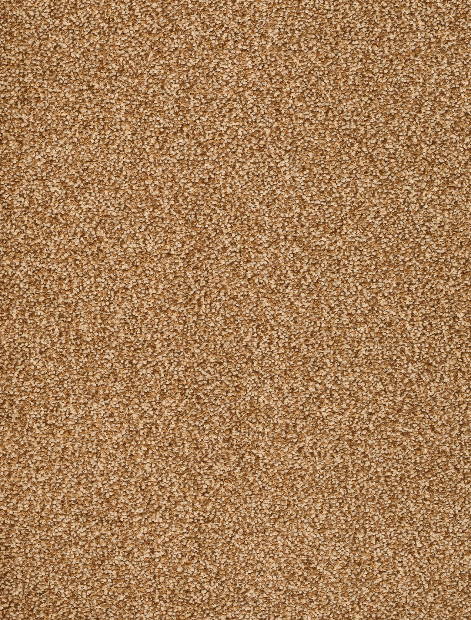 Afbeelding van Homeline 26 Tapijt Vegas 400cm Kleur 36