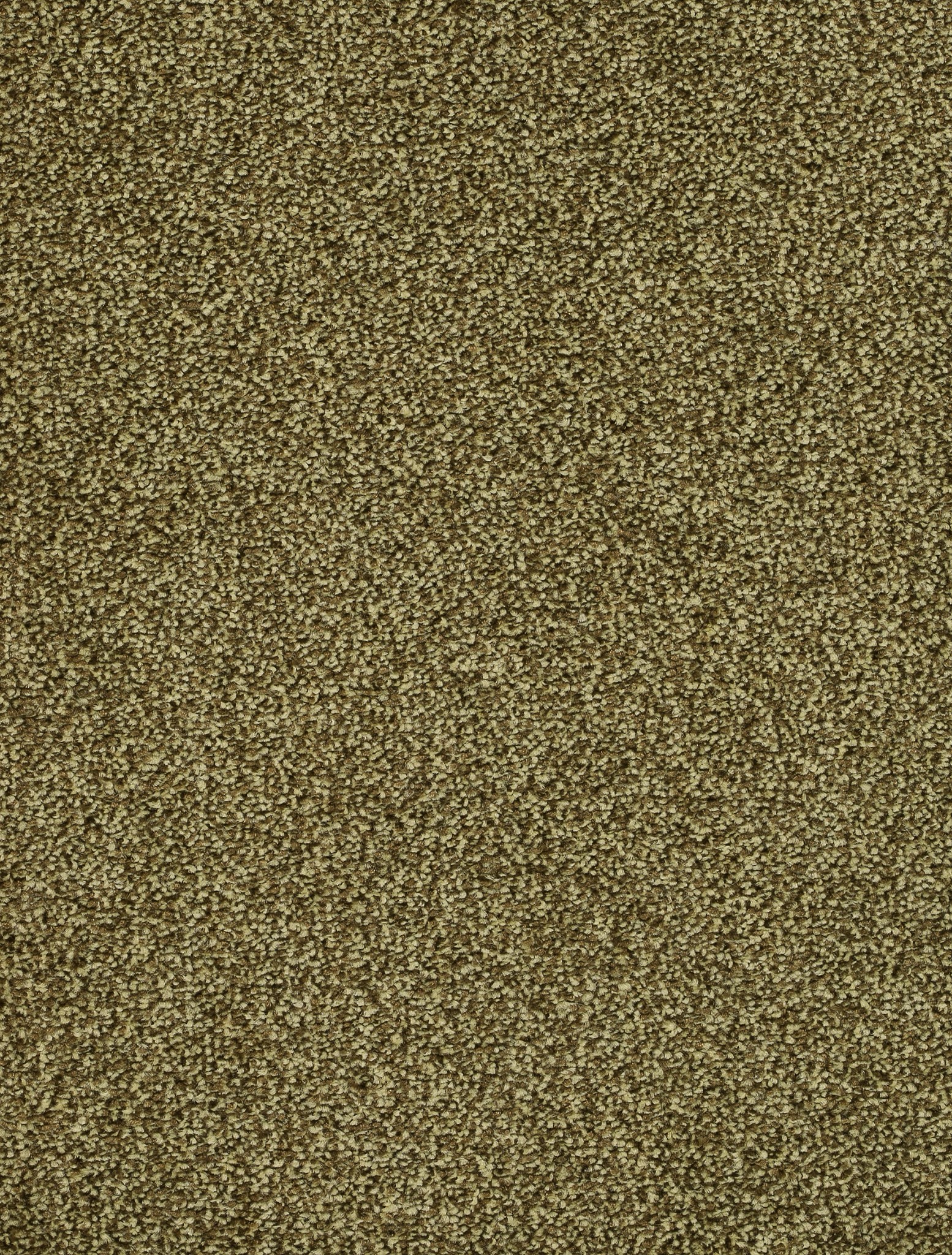 Afbeelding van Homeline 26 Tapijt Vegas 400cm Kleur 24