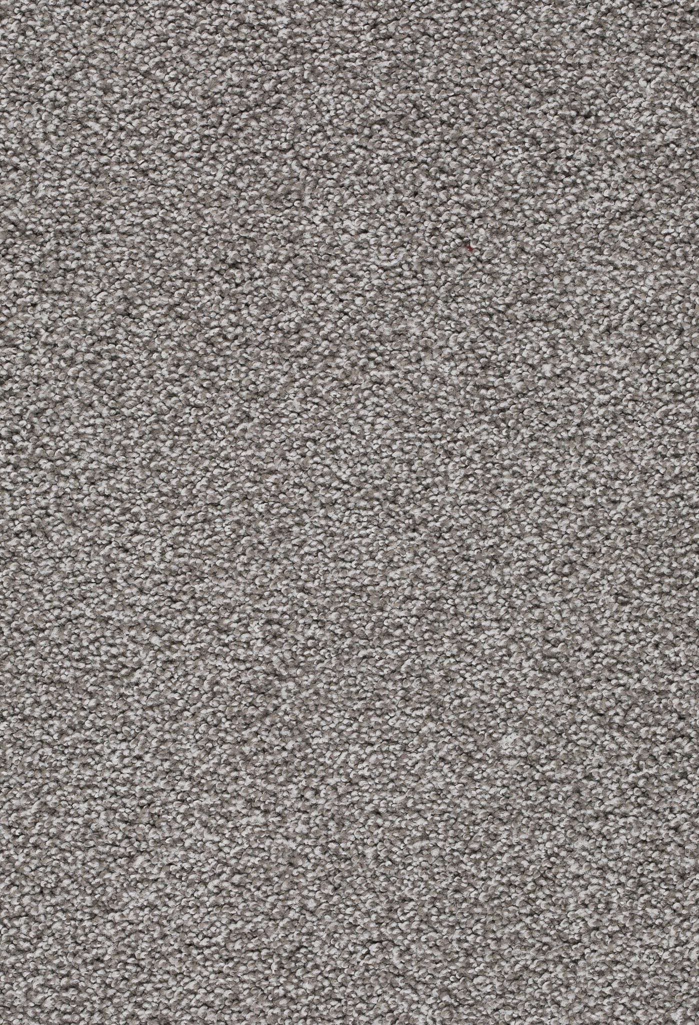 Afbeelding van Homeline 26 Tapijt Tenor 500 cm Kleur 840