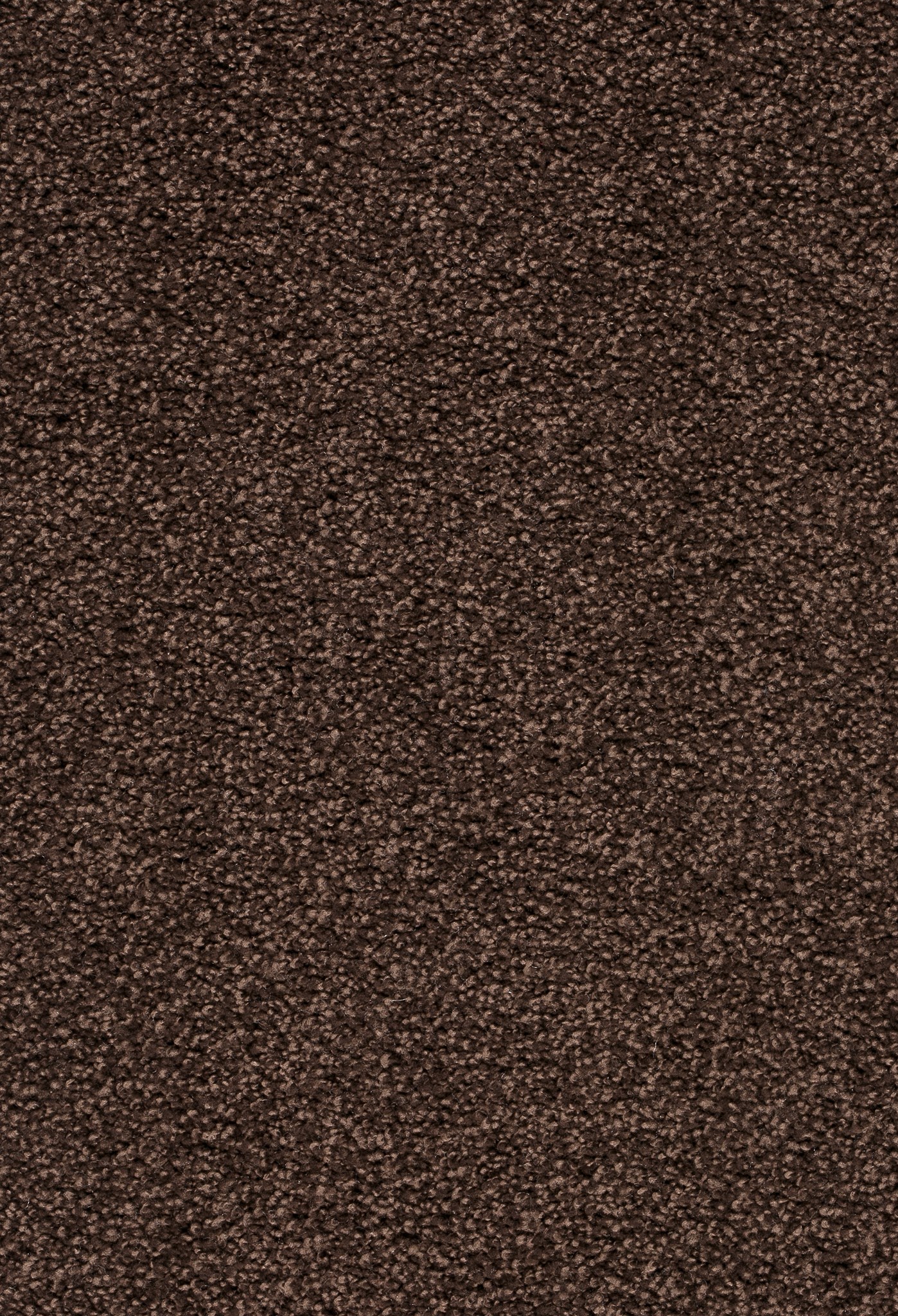 Afbeelding van Homeline 26 Tapijt Tenor 500 cm Kleur 400