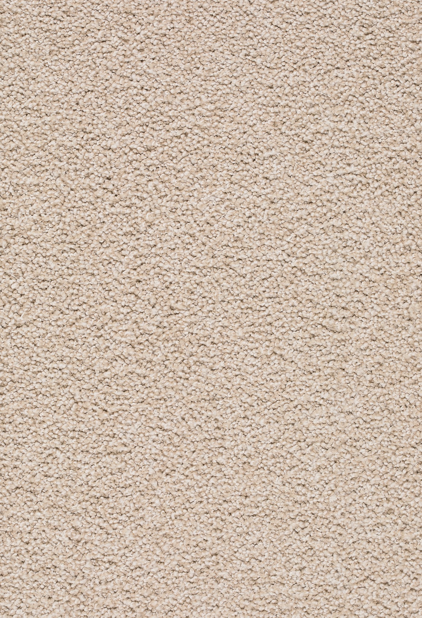 Afbeelding van Homeline 26 Tapijt Tenor 500 cm Kleur 250