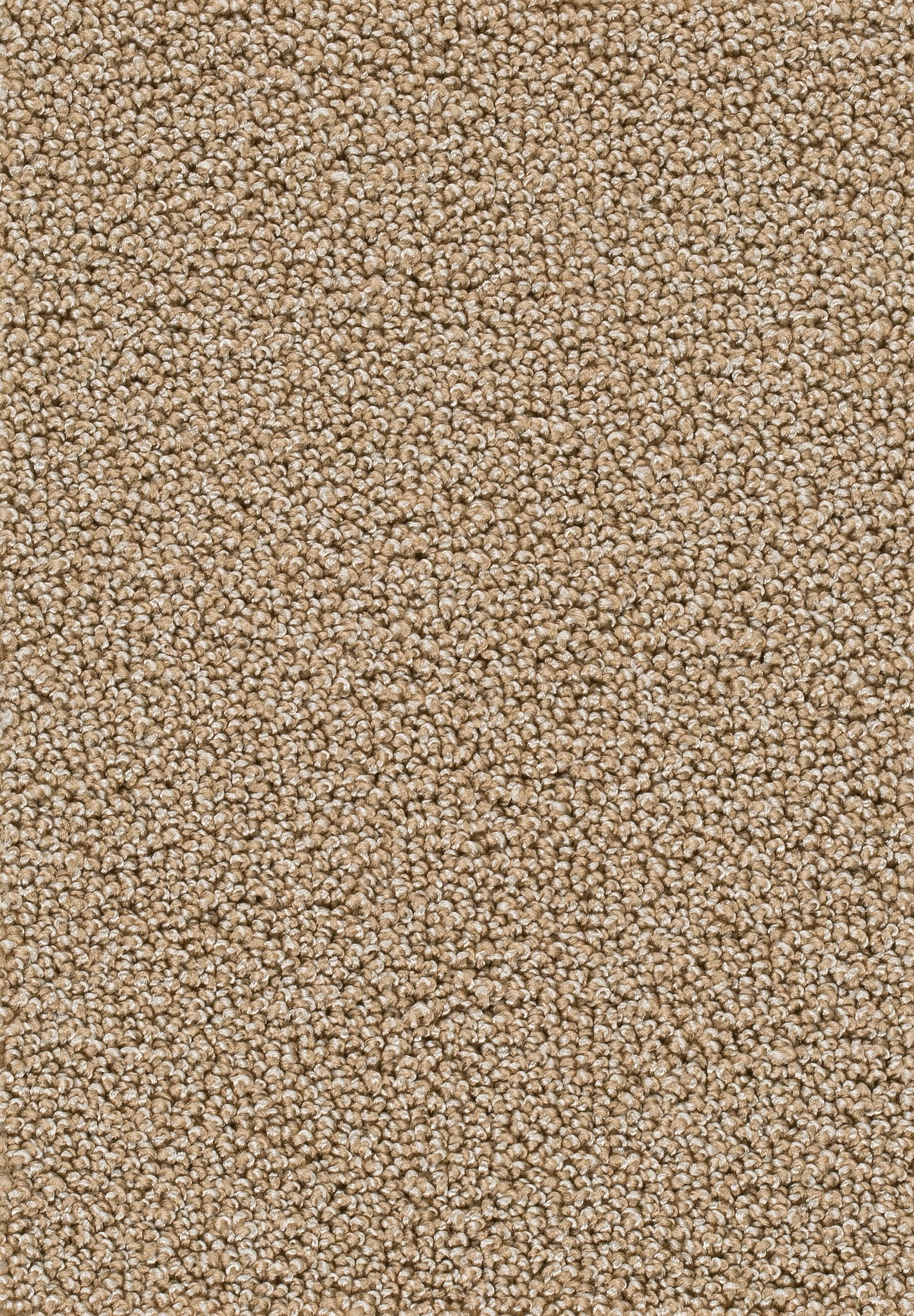 Afbeelding van Homeline 26 Tapijt Astoria 400cm Kleur 34