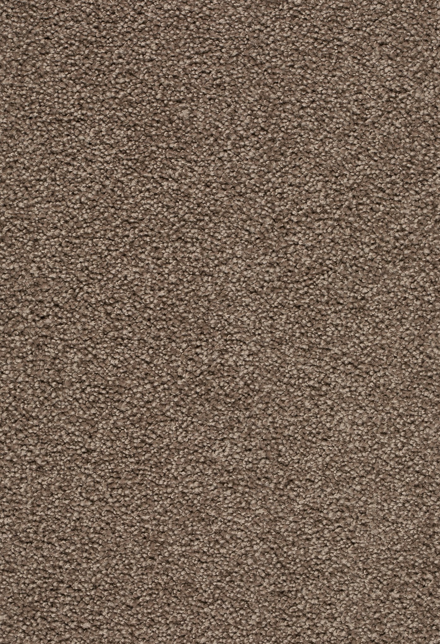 Afbeelding van Homeline 26 Tapijt Tenor 400 cm Kleur 420