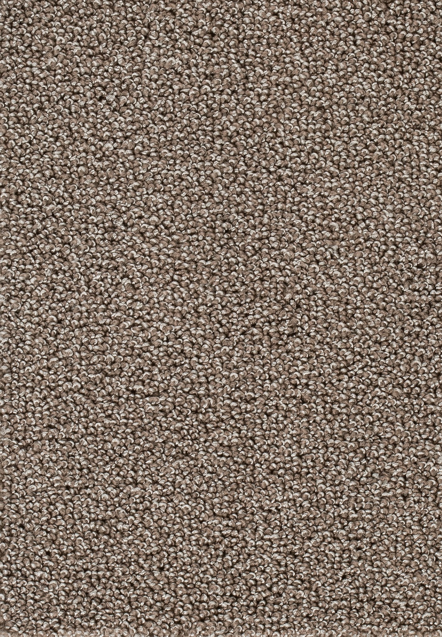Afbeelding van Homeline 26 Tapijt Astoria 400cm Kleur 49