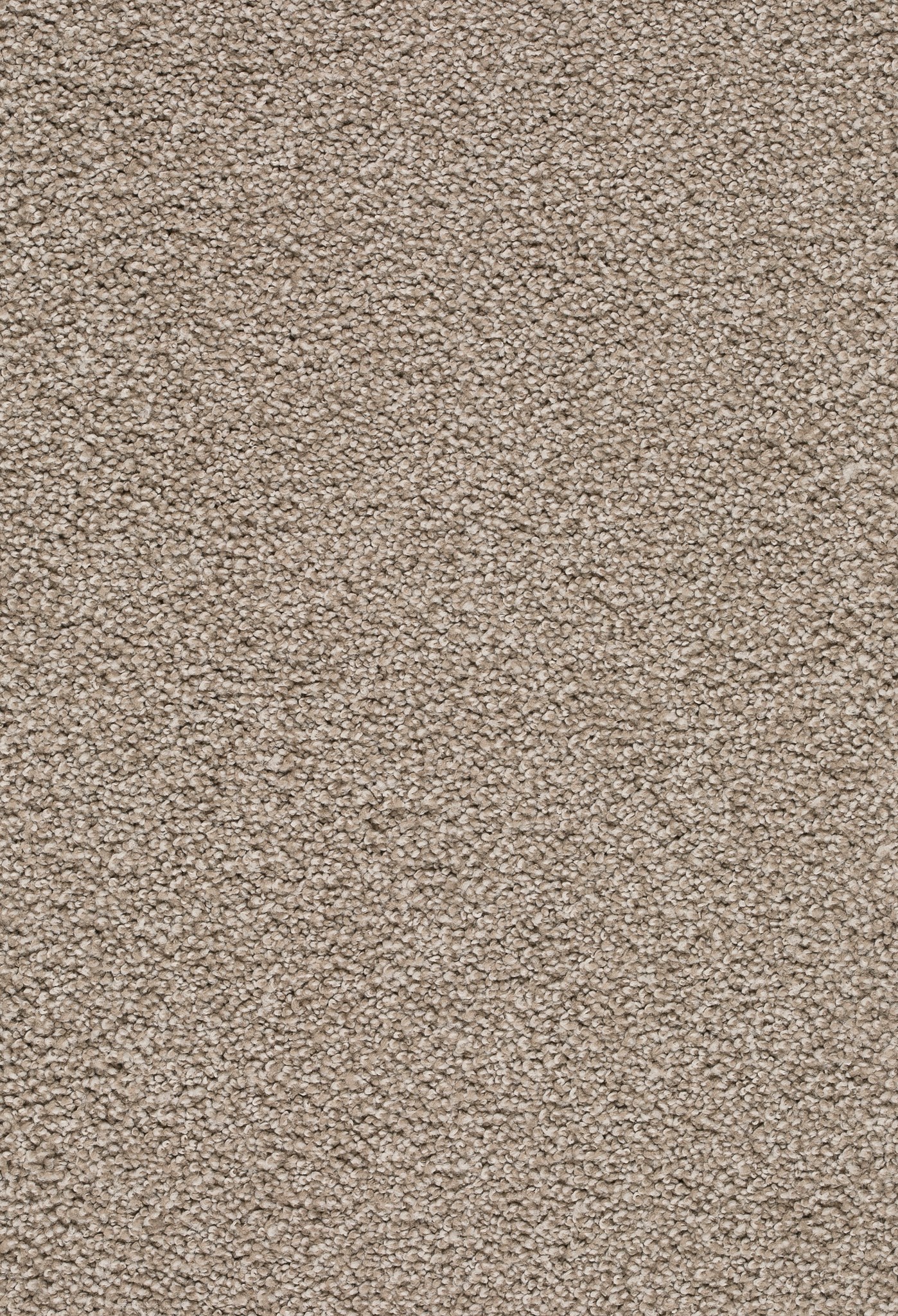 Afbeelding van Homeline 26 Tapijt Tenor 400 cm Kleur 260