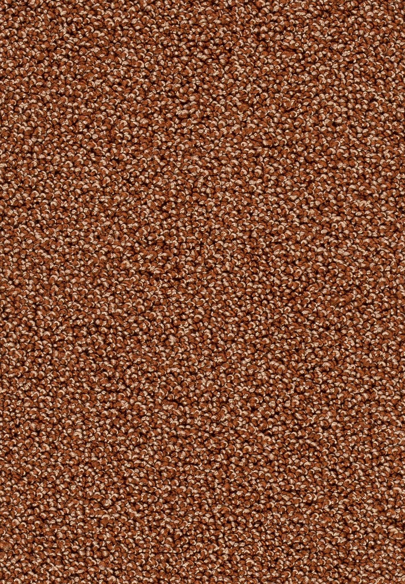 Afbeelding van Homeline 26 Tapijt Astoria 400cm Kleur 85