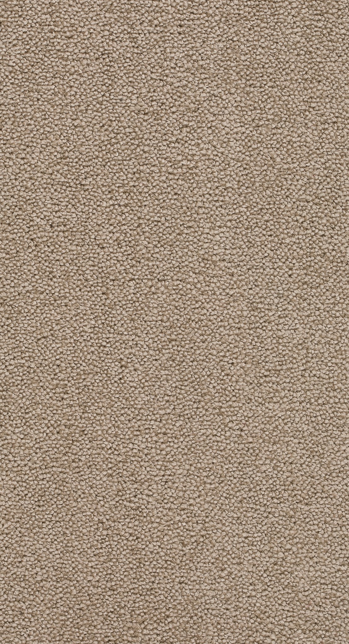 Afbeelding van Homeline 26 Tapijt Belle 400 cm Kleur 72