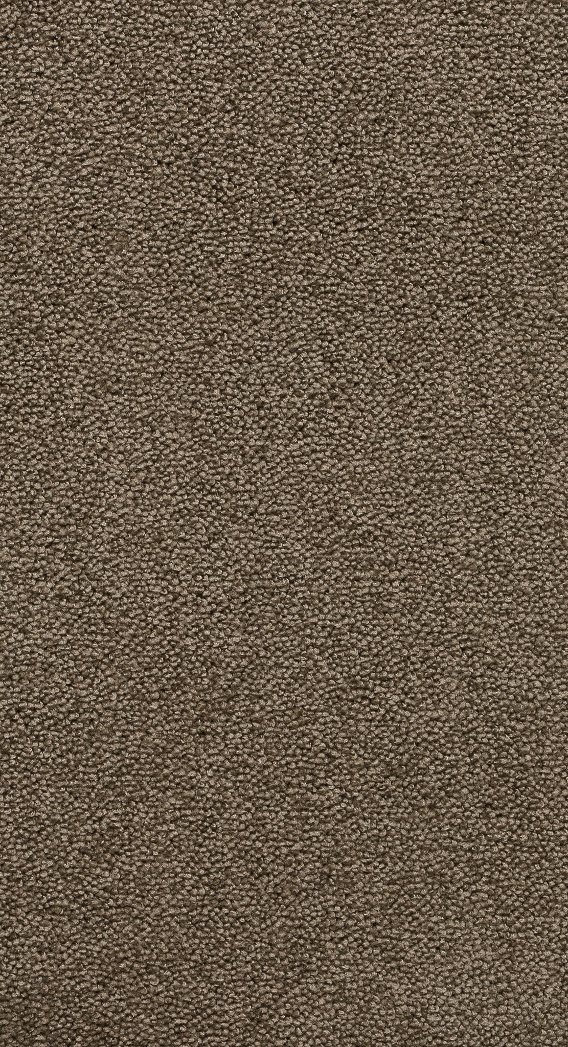 Afbeelding van Homeline 26 Tapijt Belle 500 cm Kleur 492