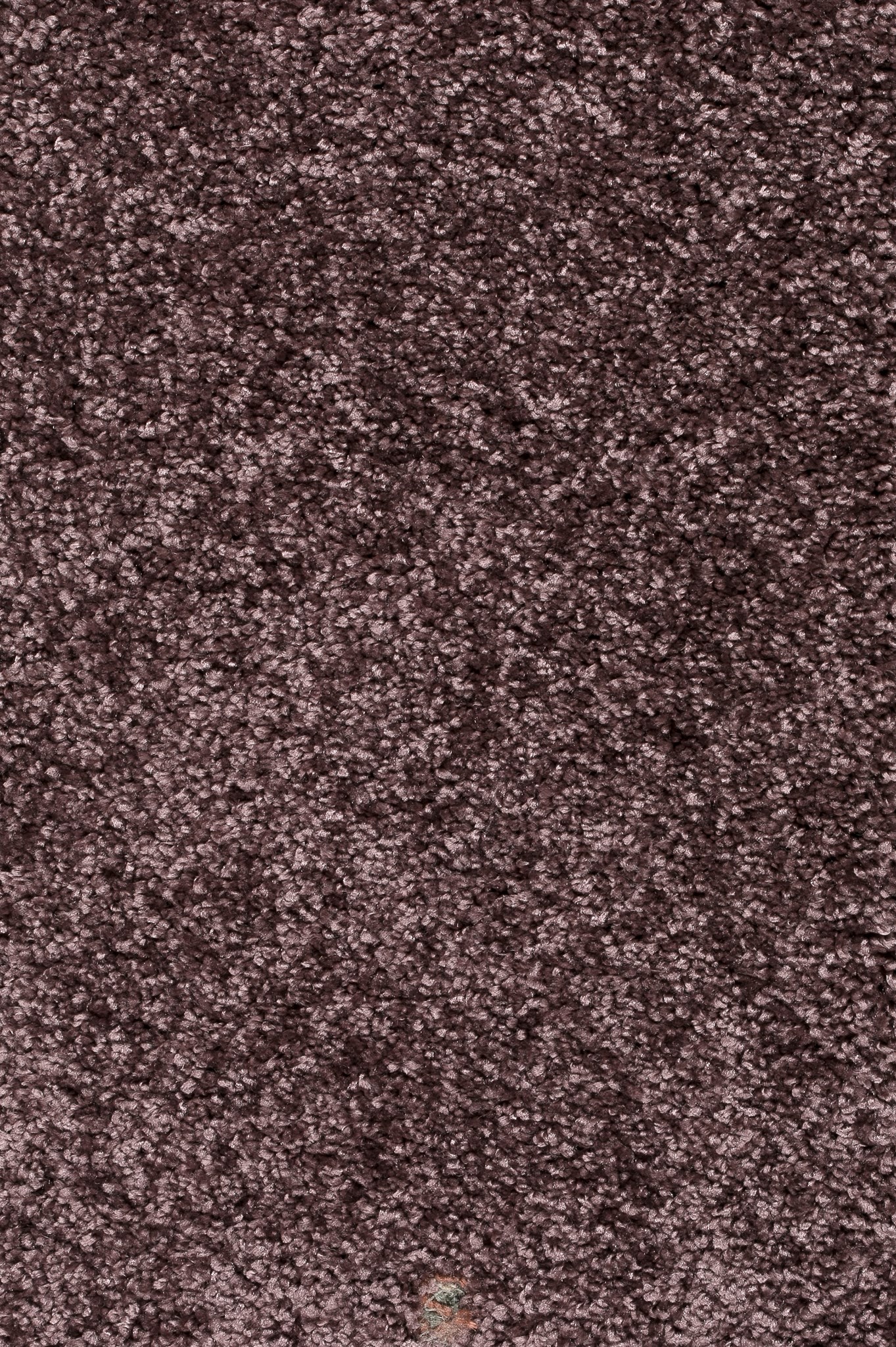 Afbeelding van Homeline 26 Tapijt Brasil 400 cm Kleur 41