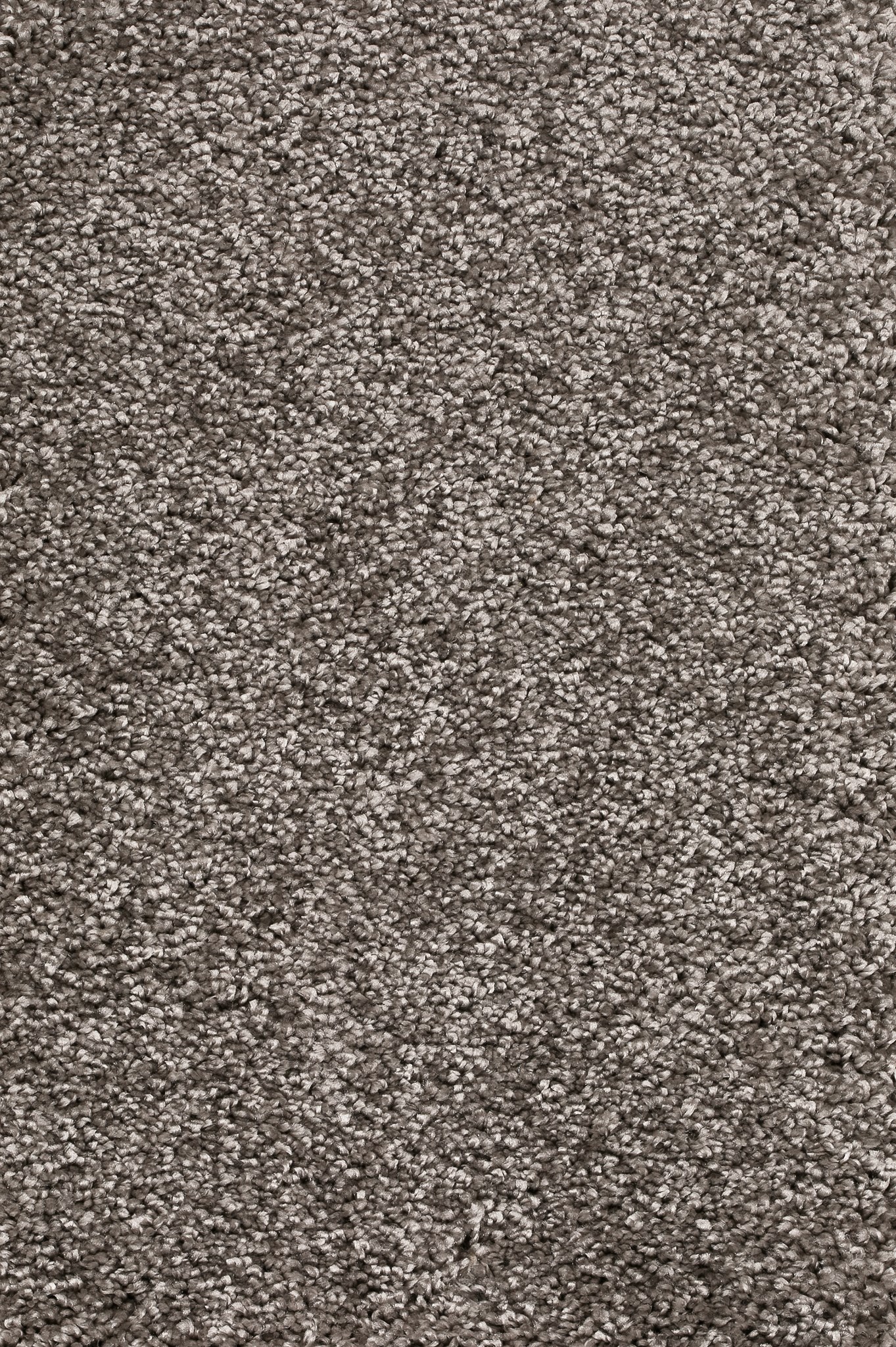 Afbeelding van Homeline 26 Tapijt Brasil 400 cm Kleur 49