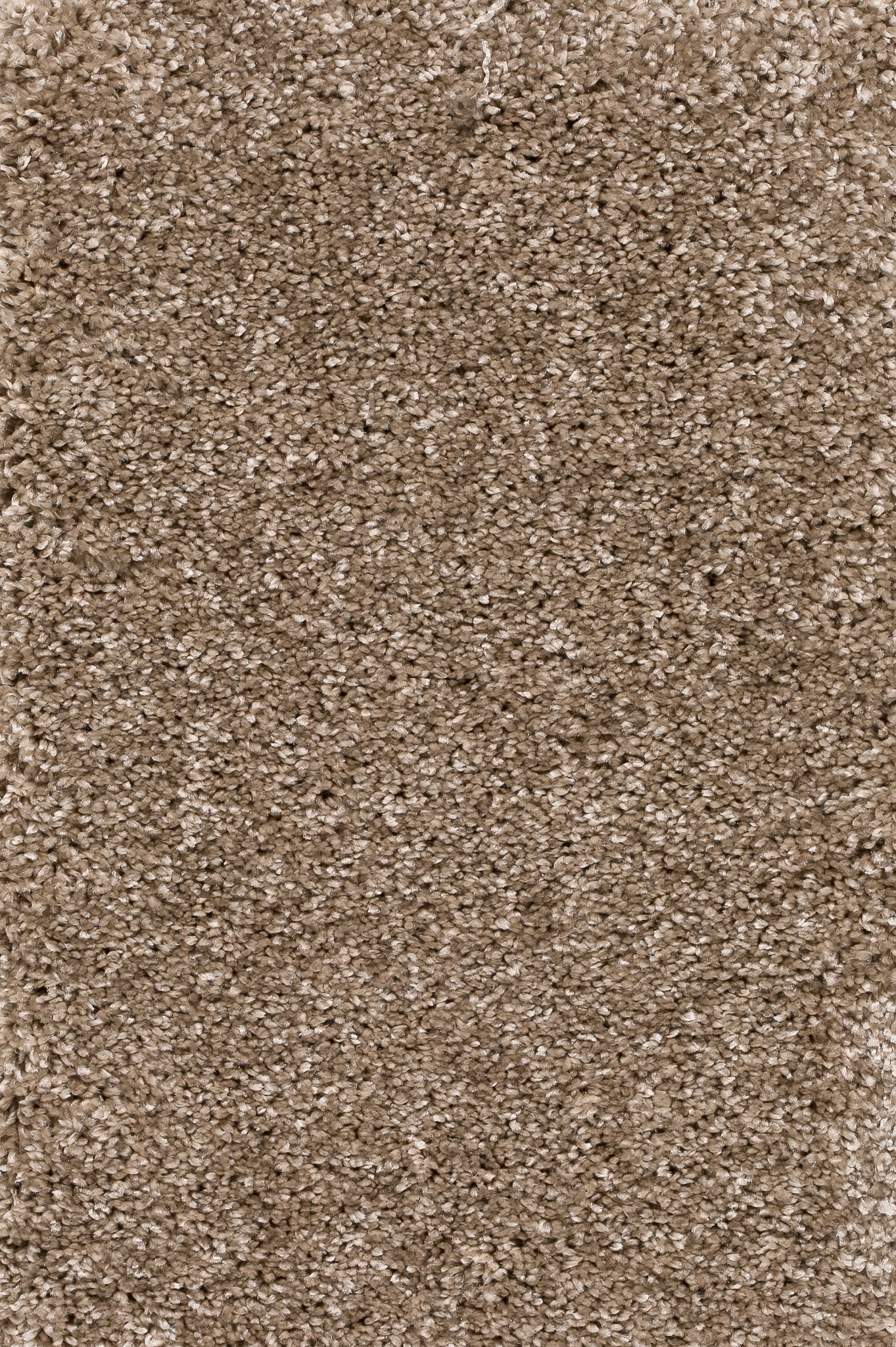 Afbeelding van Homeline 26 Tapijt Brasil 500 cm Kleur 35