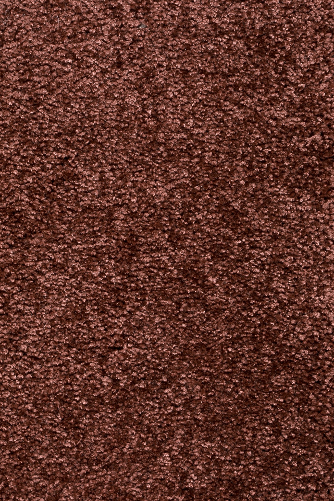 Afbeelding van Homeline 26 Tapijt Brasil 500 cm Kleur 81