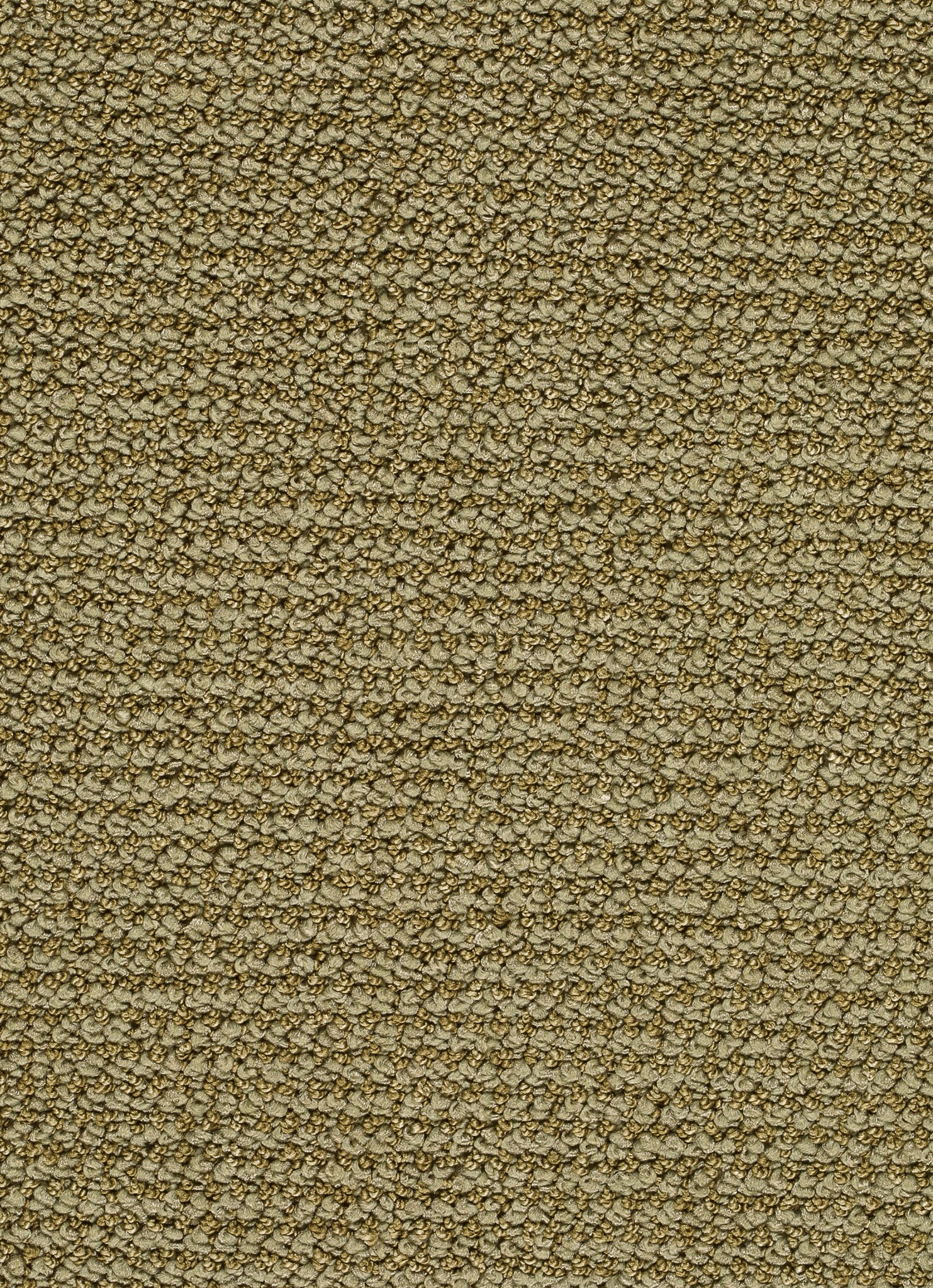 Afbeelding van Homeline 26 Tapijt Credo 400cm Kleur 21