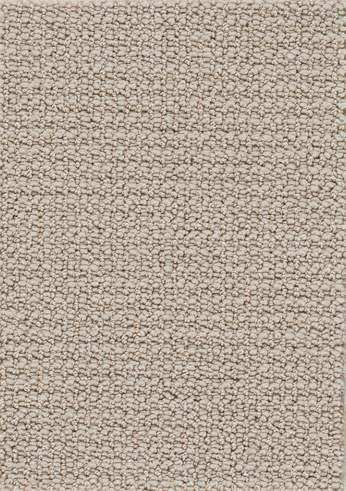 Afbeelding van Homeline 26 Tapijt Credo 400cm Kleur 32