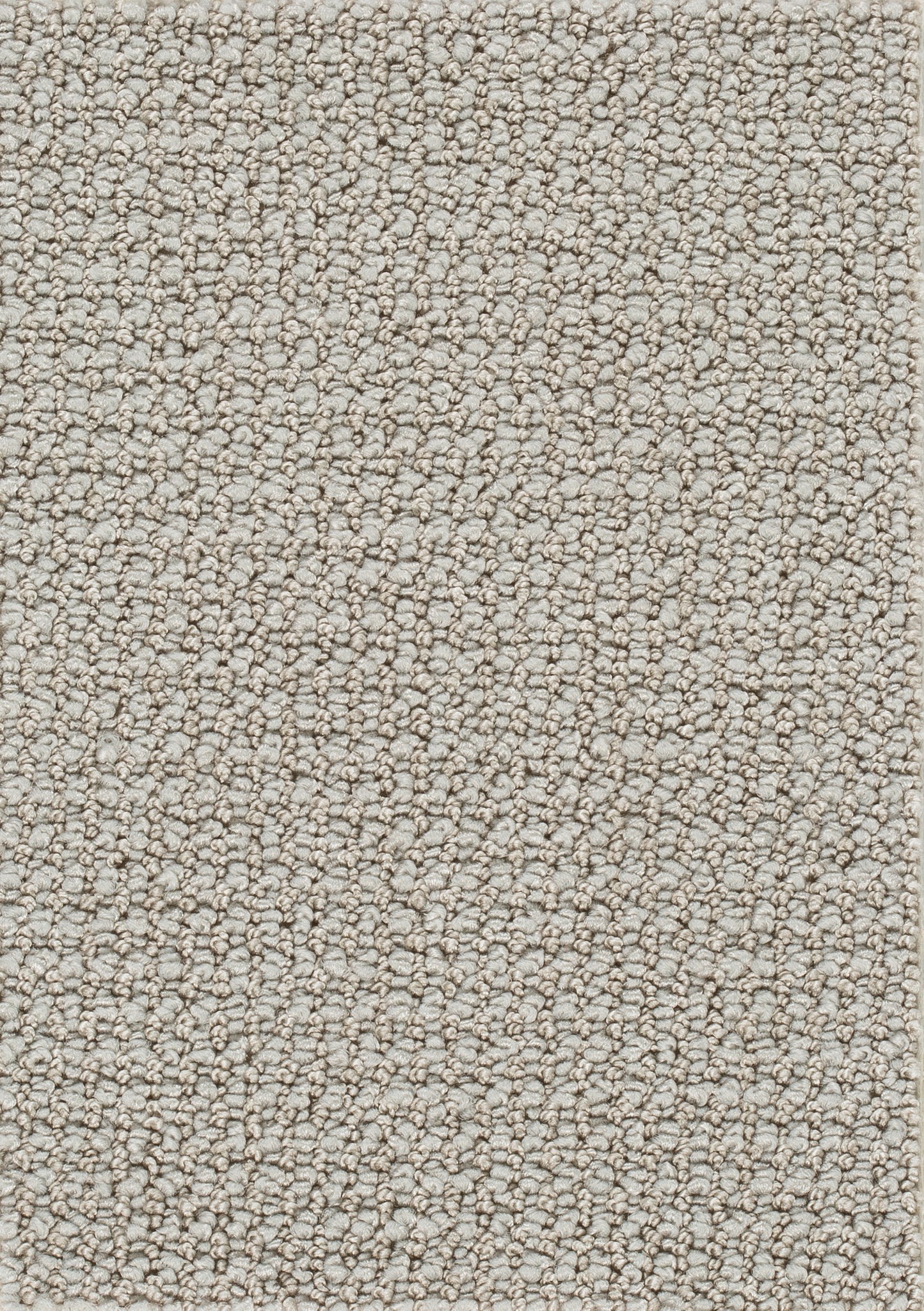 Afbeelding van Homeline 26 Tapijt Credo 400cm Kleur 90