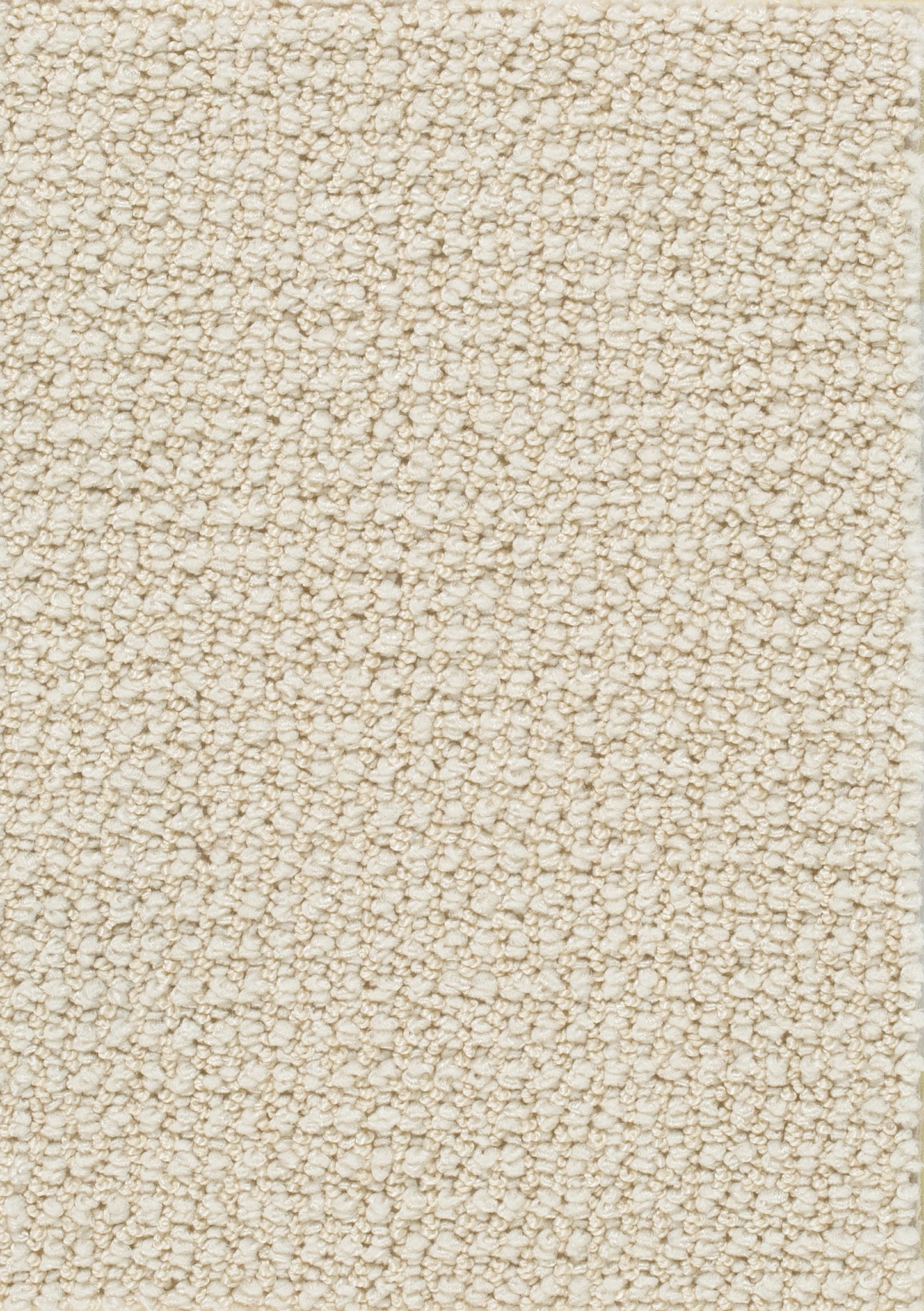 Afbeelding van Homeline 26 Tapijt Credo 500cm Kleur 31