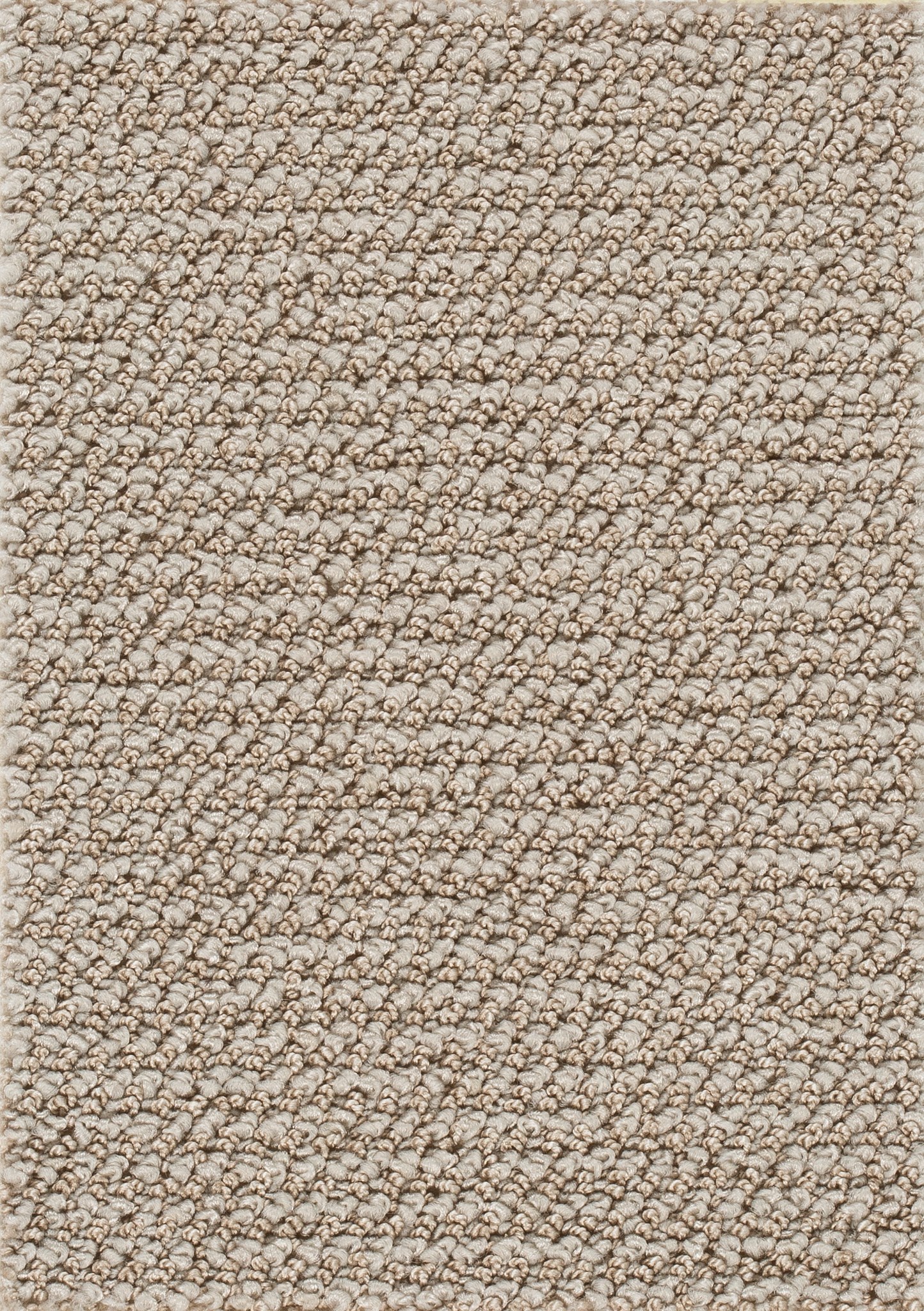 Afbeelding van Homeline 26 Tapijt Credo 500cm Kleur 38
