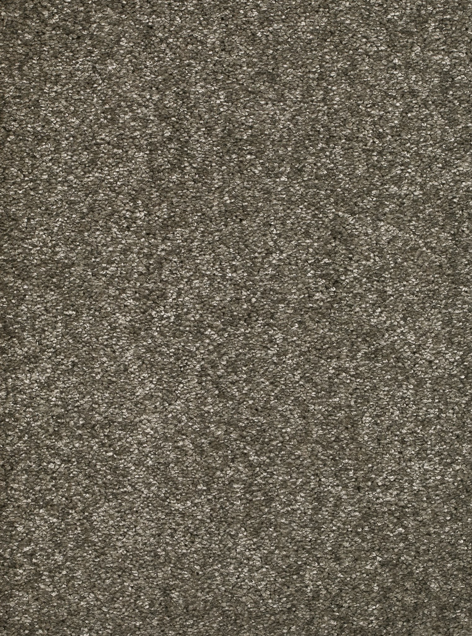 Afbeelding van Homeline 26 Tapijt Kairo 400cm Kleur 91