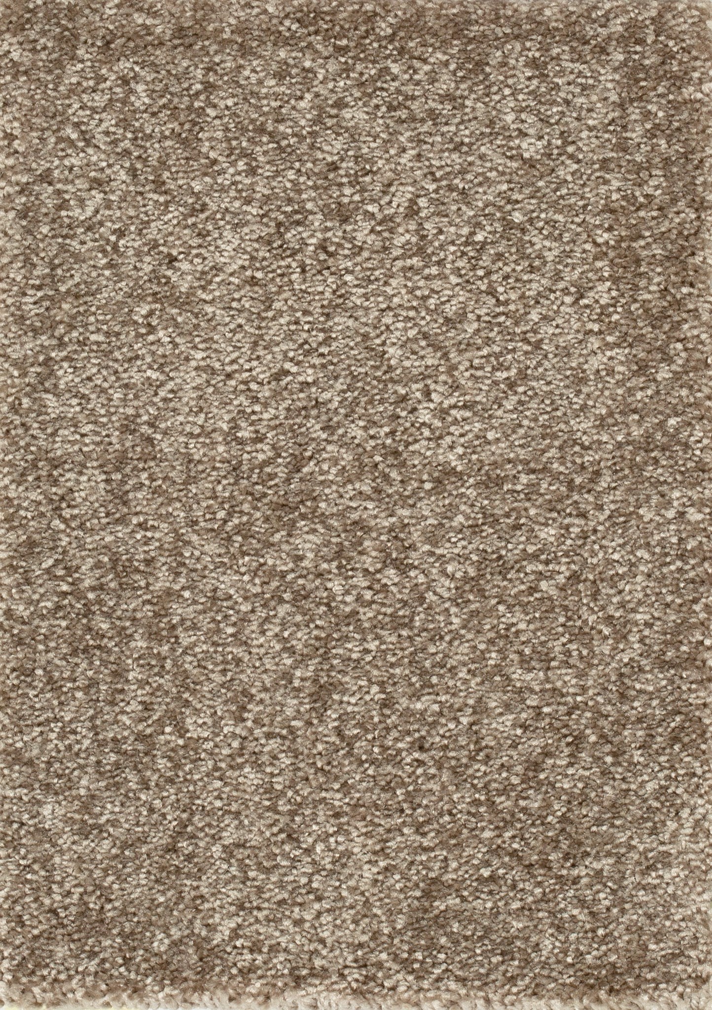 Afbeelding van Homeline 26 Tapijt Kairo 500cm Kleur 44
