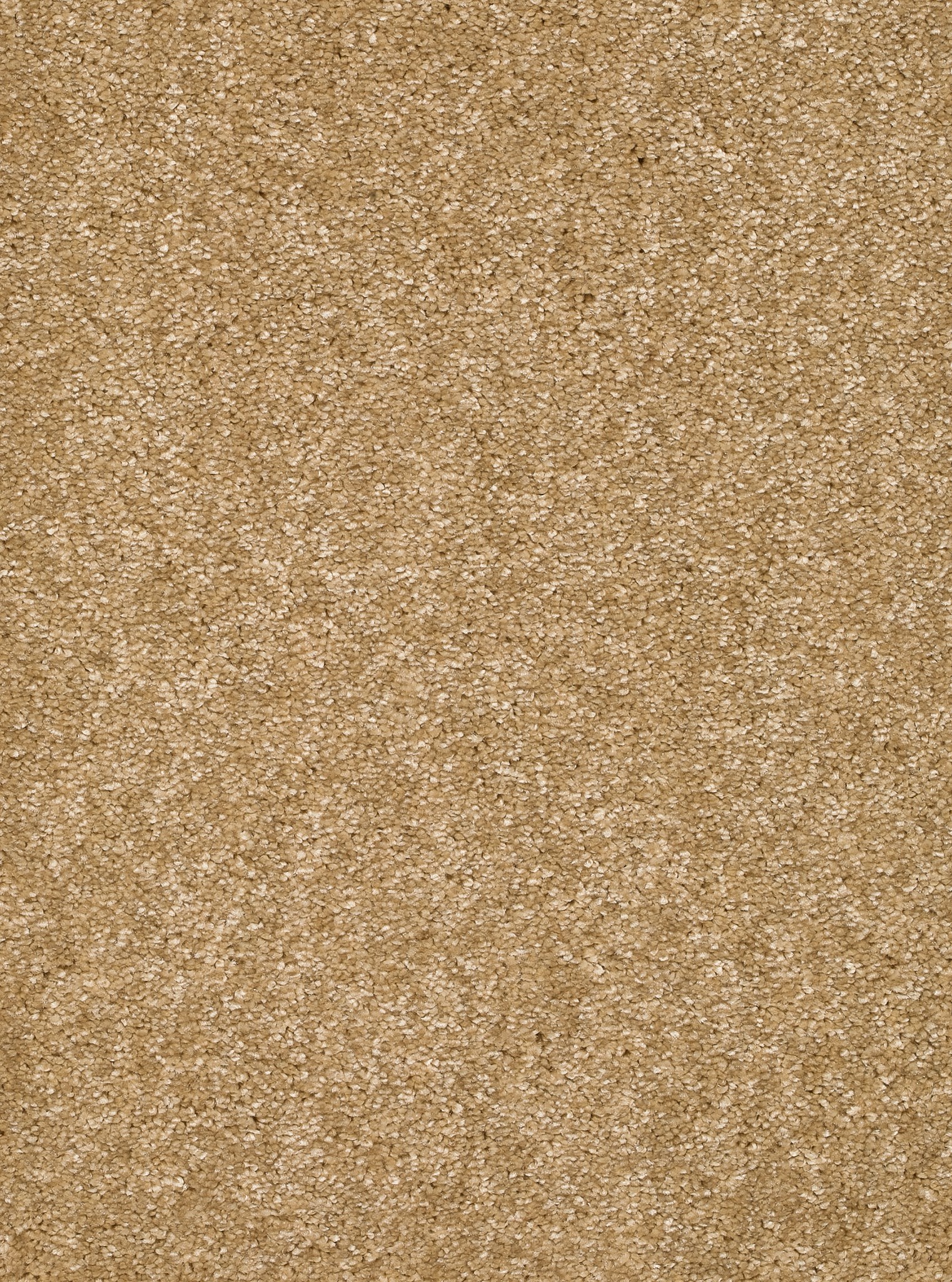 Afbeelding van Homeline 26 Tapijt Kairo 500cm Kleur 51