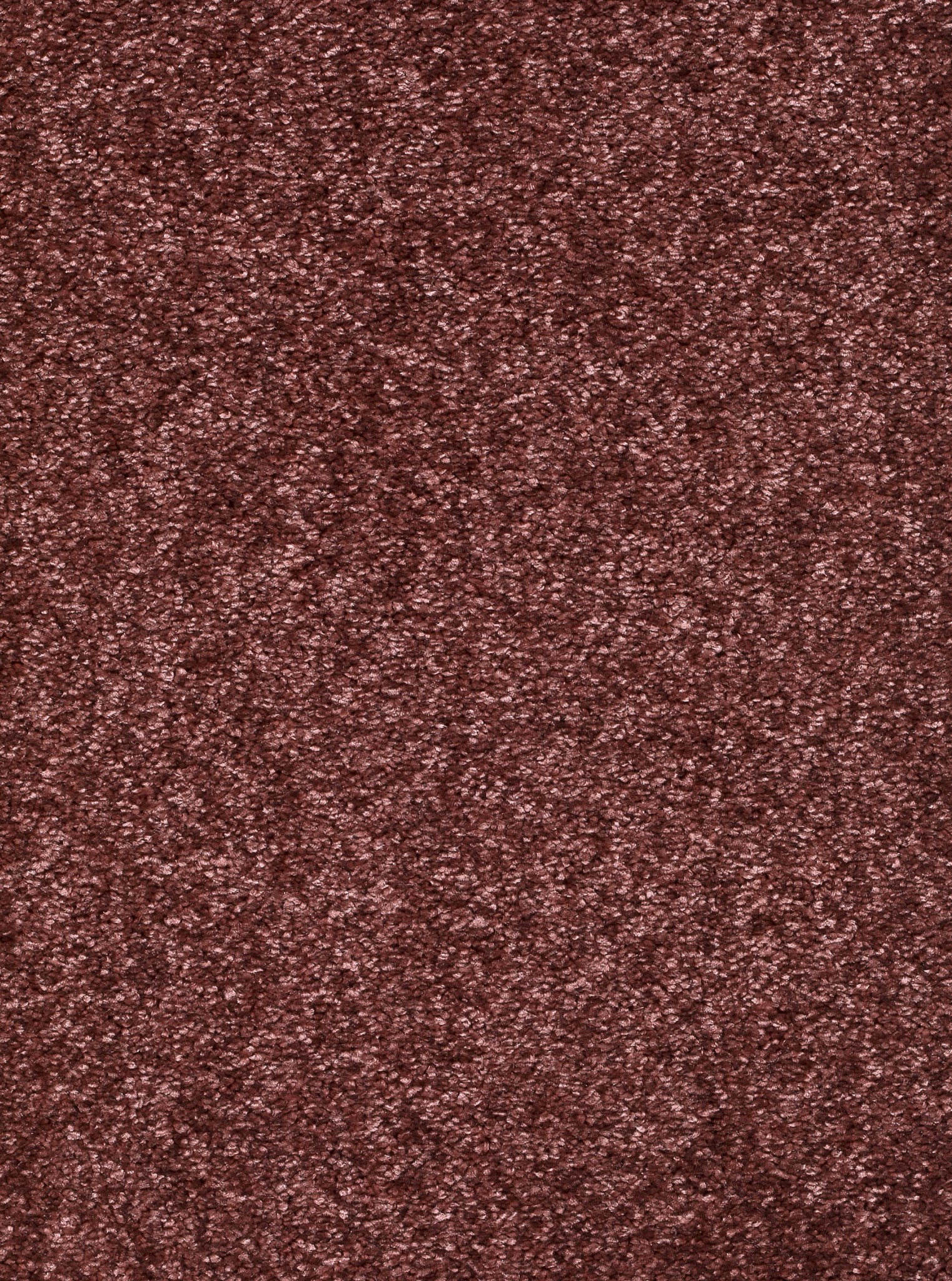 Afbeelding van Homeline 26 Tapijt Kairo 500cm Kleur 65