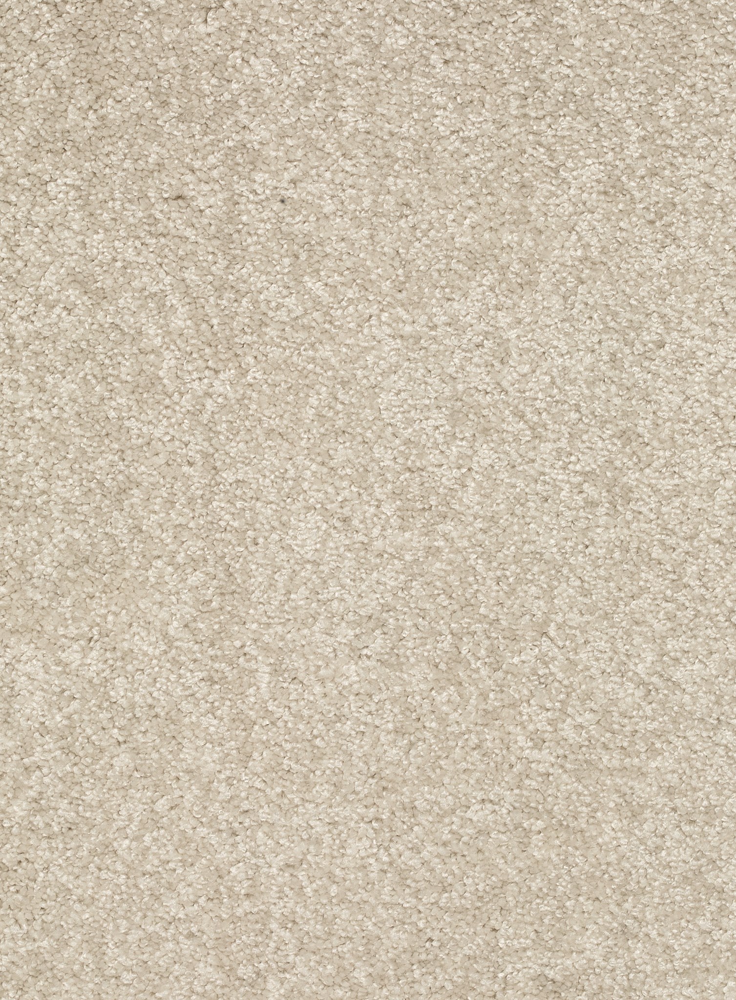 Afbeelding van Homeline 26 Tapijt Laredo 400 cm Kleur 03