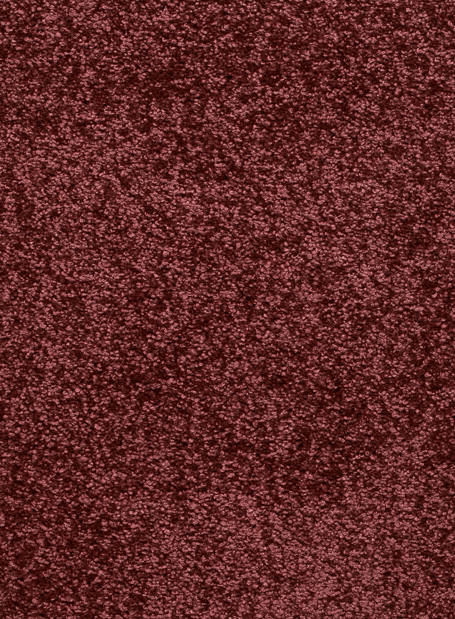 Afbeelding van Homeline 26 Tapijt Laredo 400 cm Kleur 18