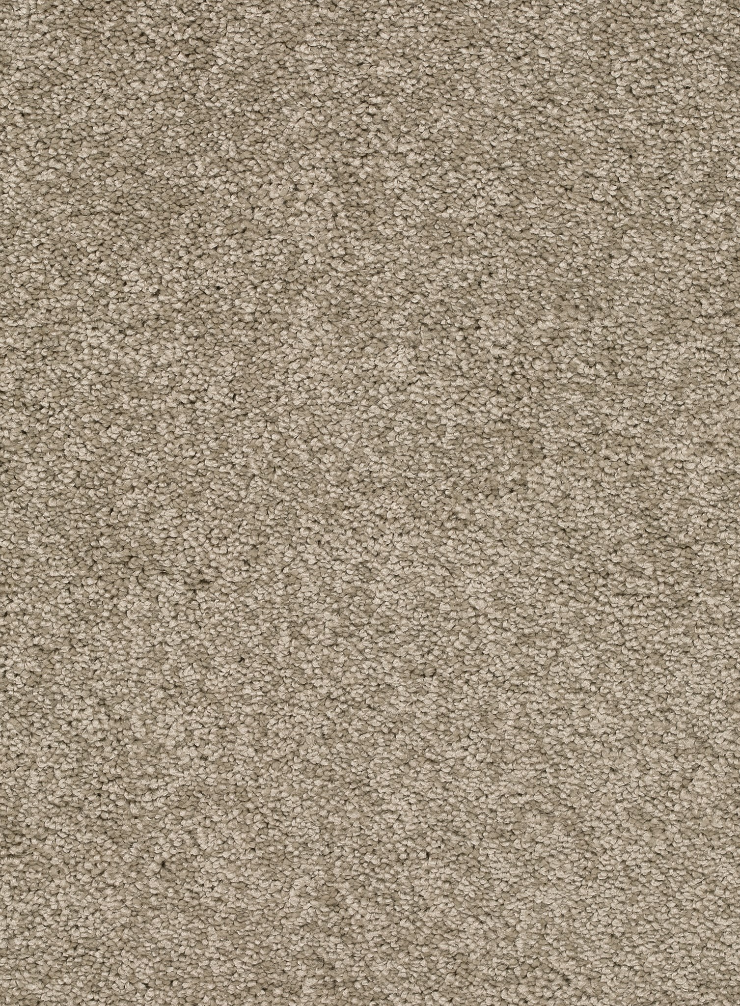 Afbeelding van Homeline 26 Tapijt Laredo 400 cm Kleur 32