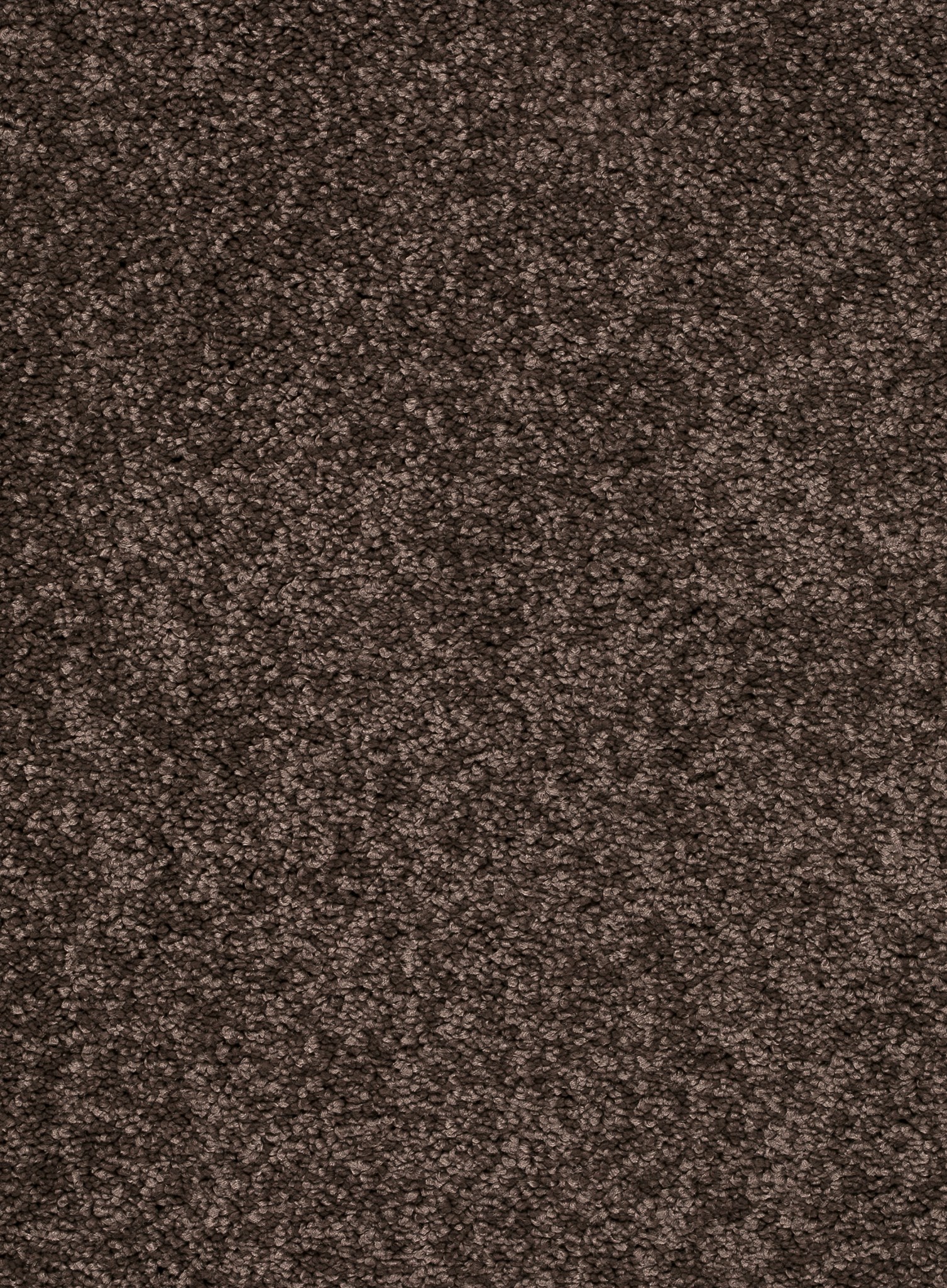 Afbeelding van Homeline 26 Tapijt Laredo 400 cm Kleur 45