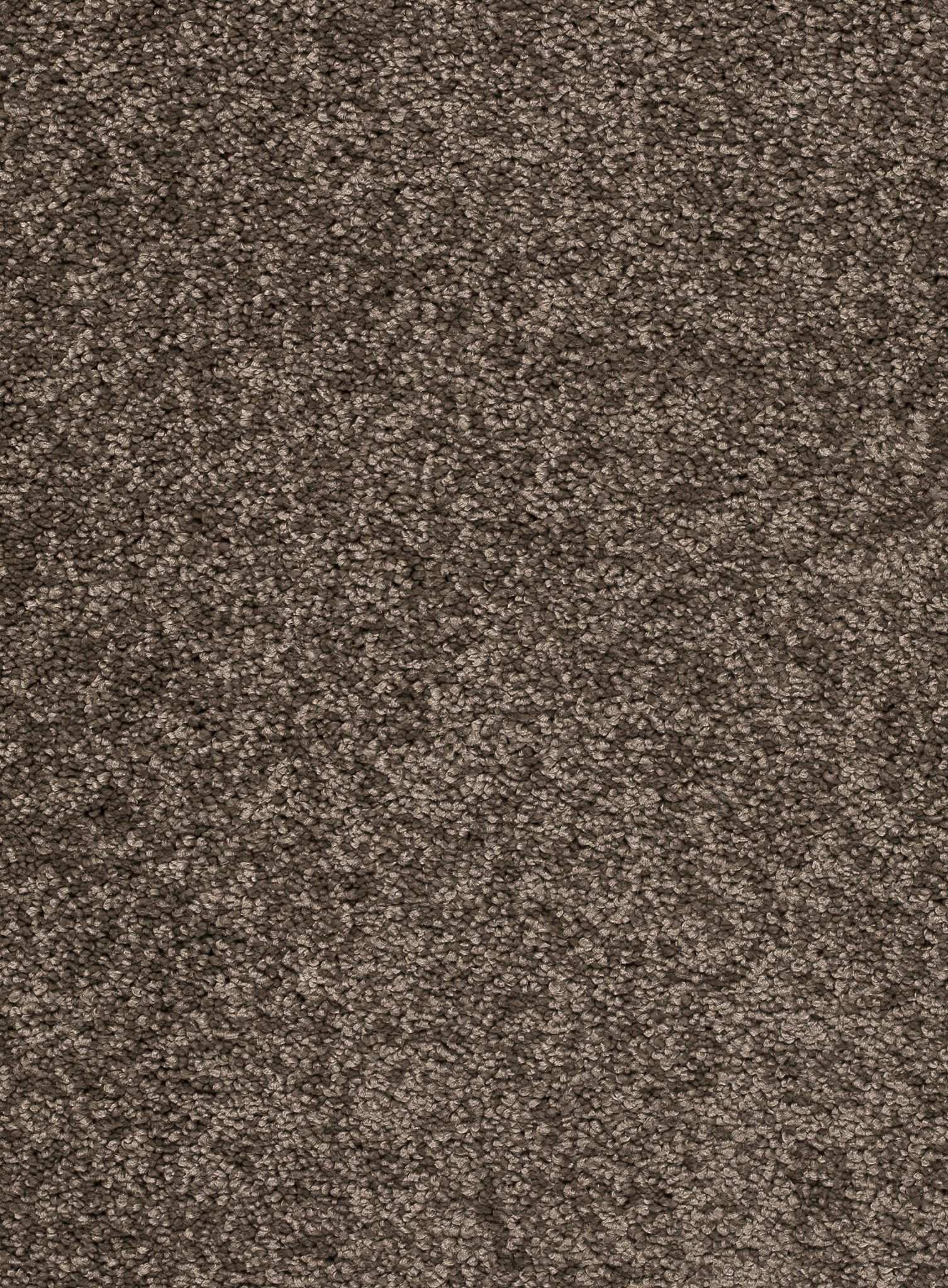 Afbeelding van Homeline 26 Tapijt Laredo 500 cm Kleur 44