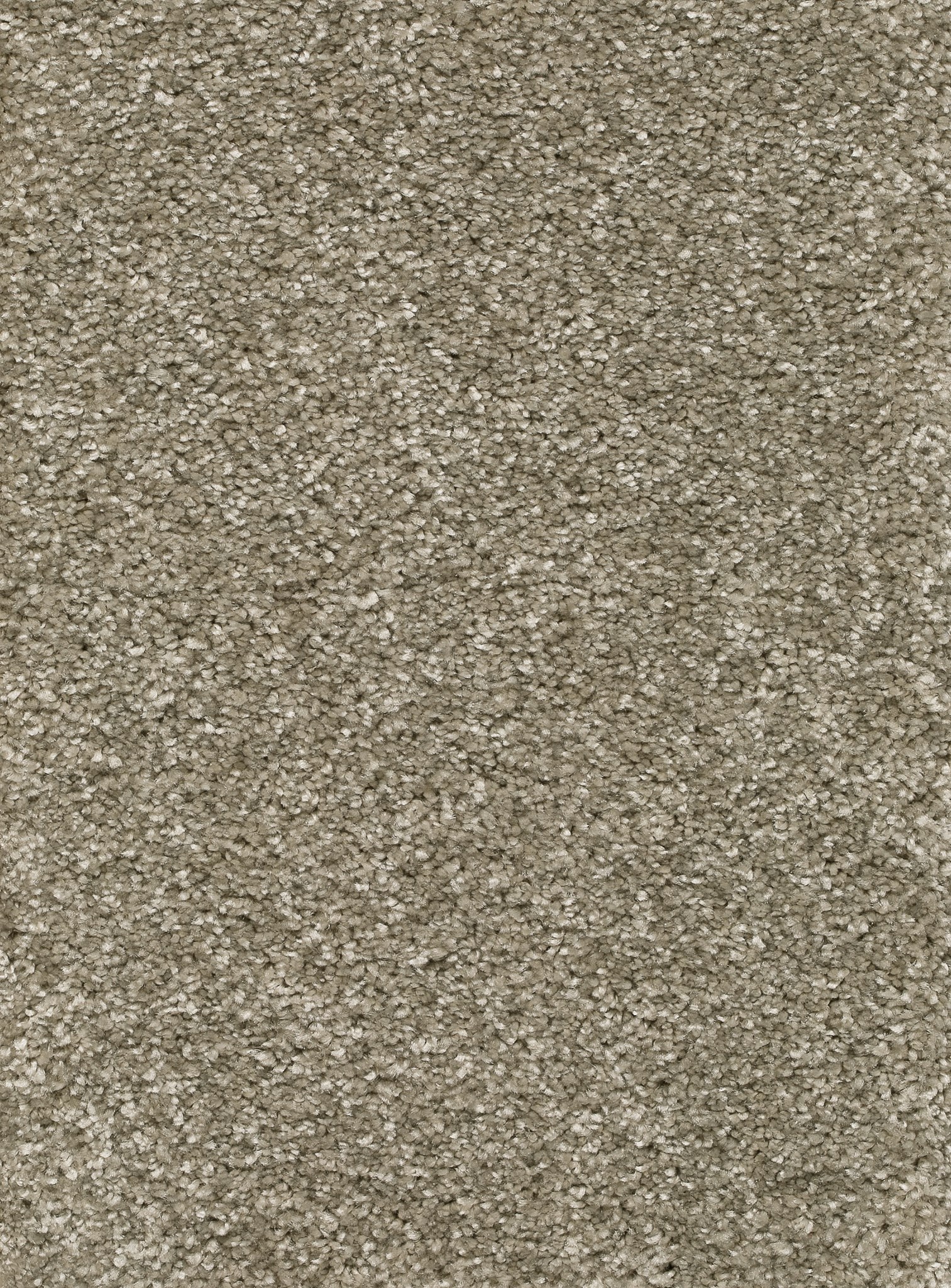 Afbeelding van Homeline 26 Tapijt Luxor 400cm Kleur 048