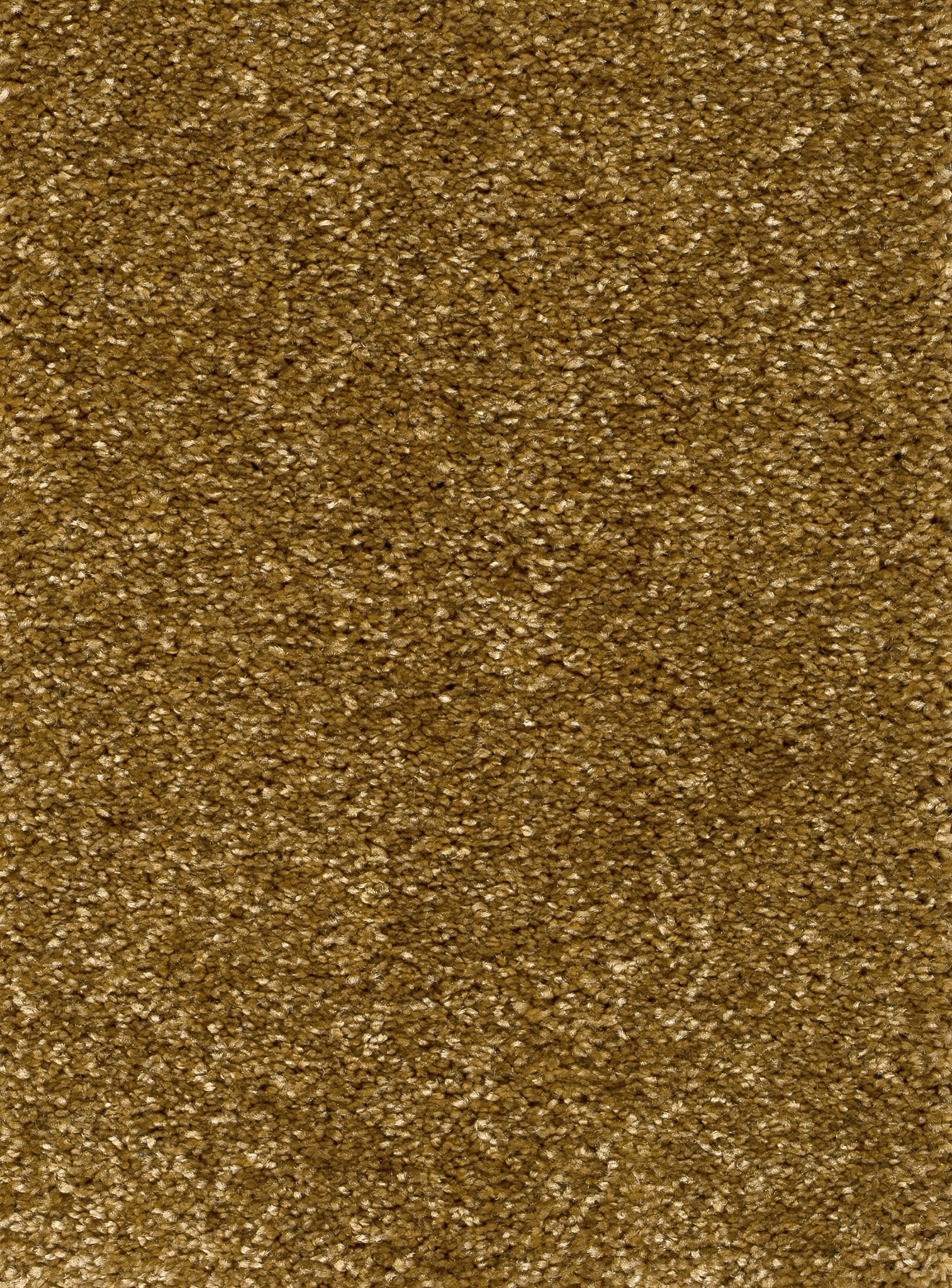 Afbeelding van Homeline 26 Tapijt Luxor 400cm Kleur 055