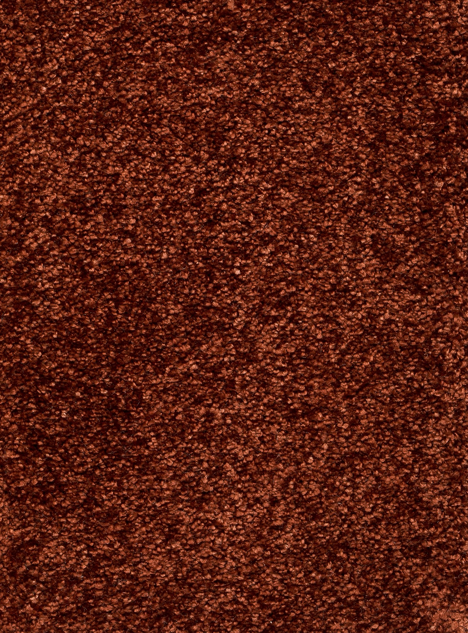 Afbeelding van Homeline 26 Tapijt Luxor 400cm Kleur 068