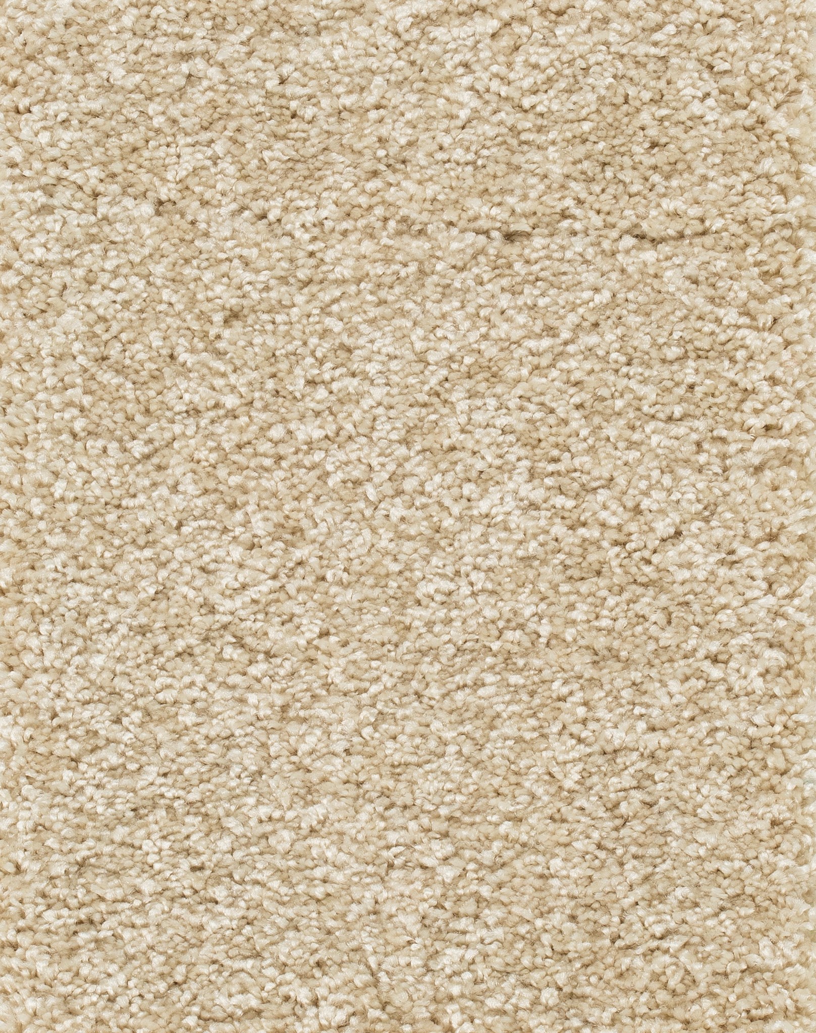 Afbeelding van Homeline 26 Tapijt Luxor 500cm Kleur 033