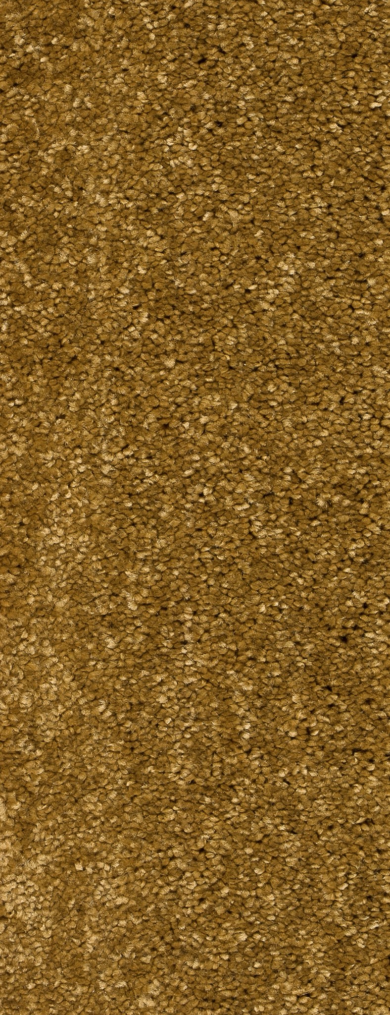 Afbeelding van Homeline 26 Tapijt Panama 400 cm Kleur 50
