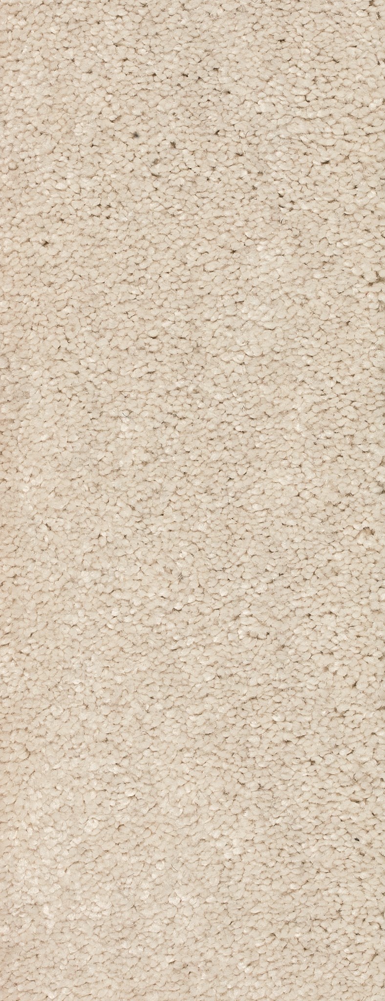Afbeelding van Homeline 26 Tapijt Panama 400 cm Kleur 69