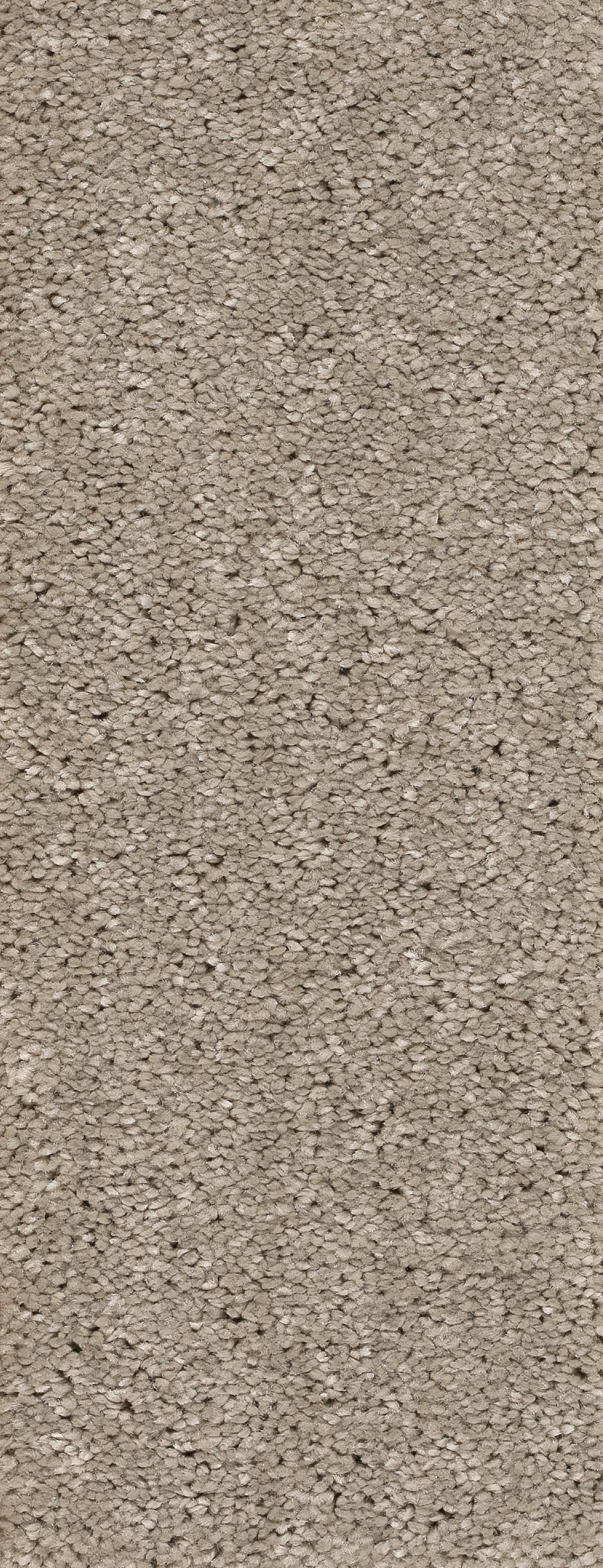 Afbeelding van Homeline 26 Tapijt Panama 400 cm Kleur 74
