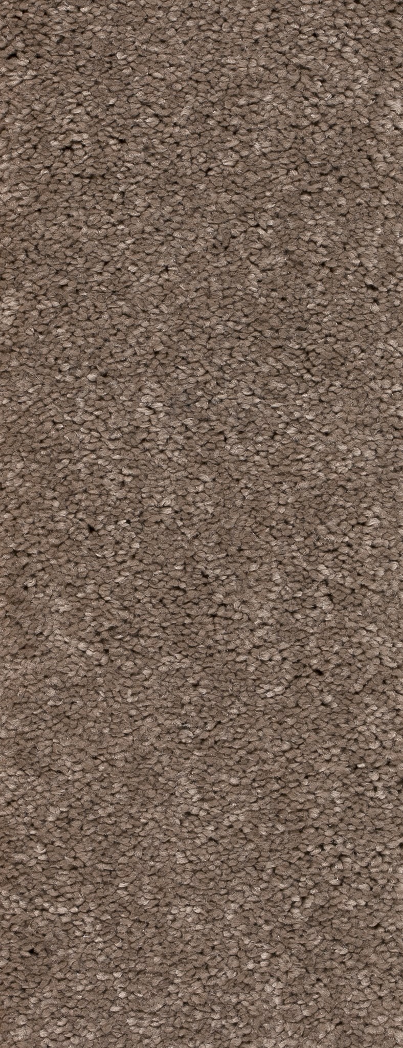 Afbeelding van Homeline 26 Tapijt Panama 400 cm Kleur 274