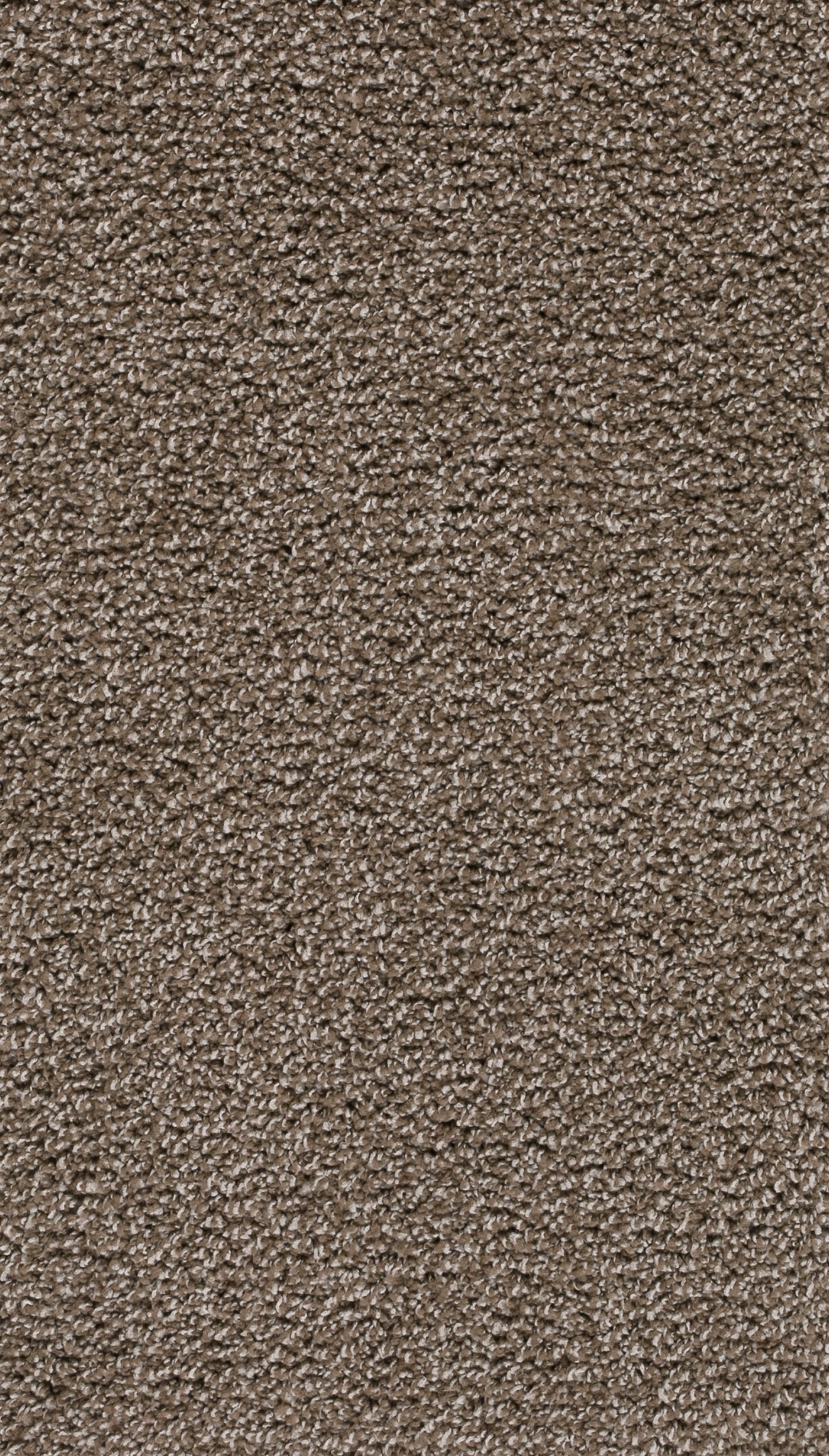 Afbeelding van Homeline 26 Tapijt Ravel 500 cm Kleur 90