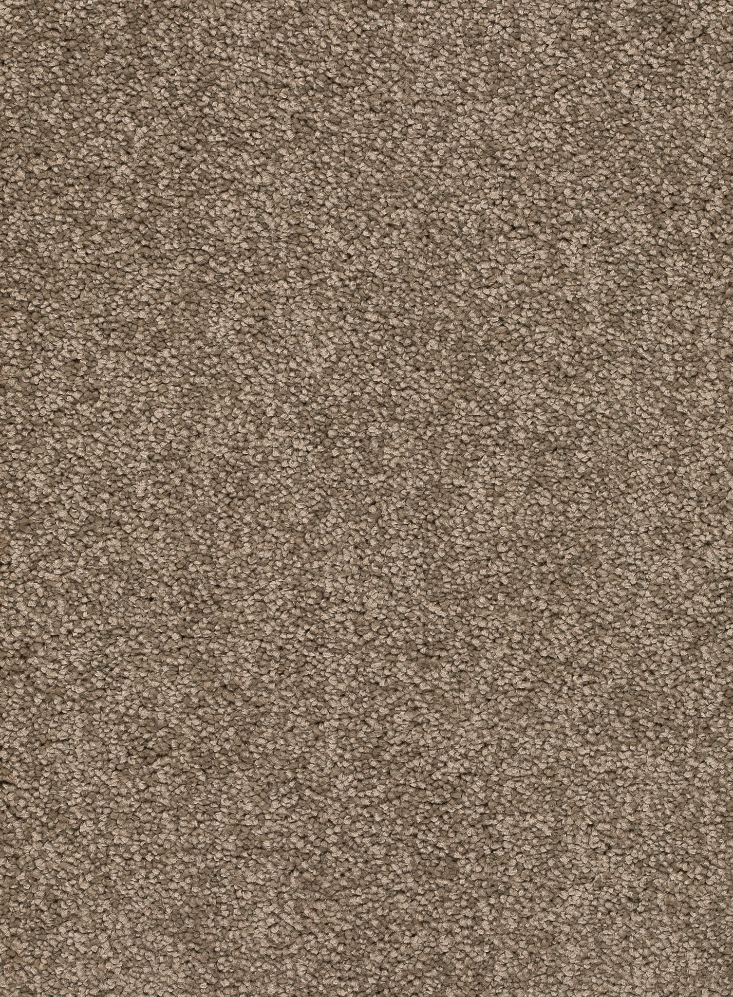 Afbeelding van Homeline 26 Tapijt Rocky 400 cm Kleur 34