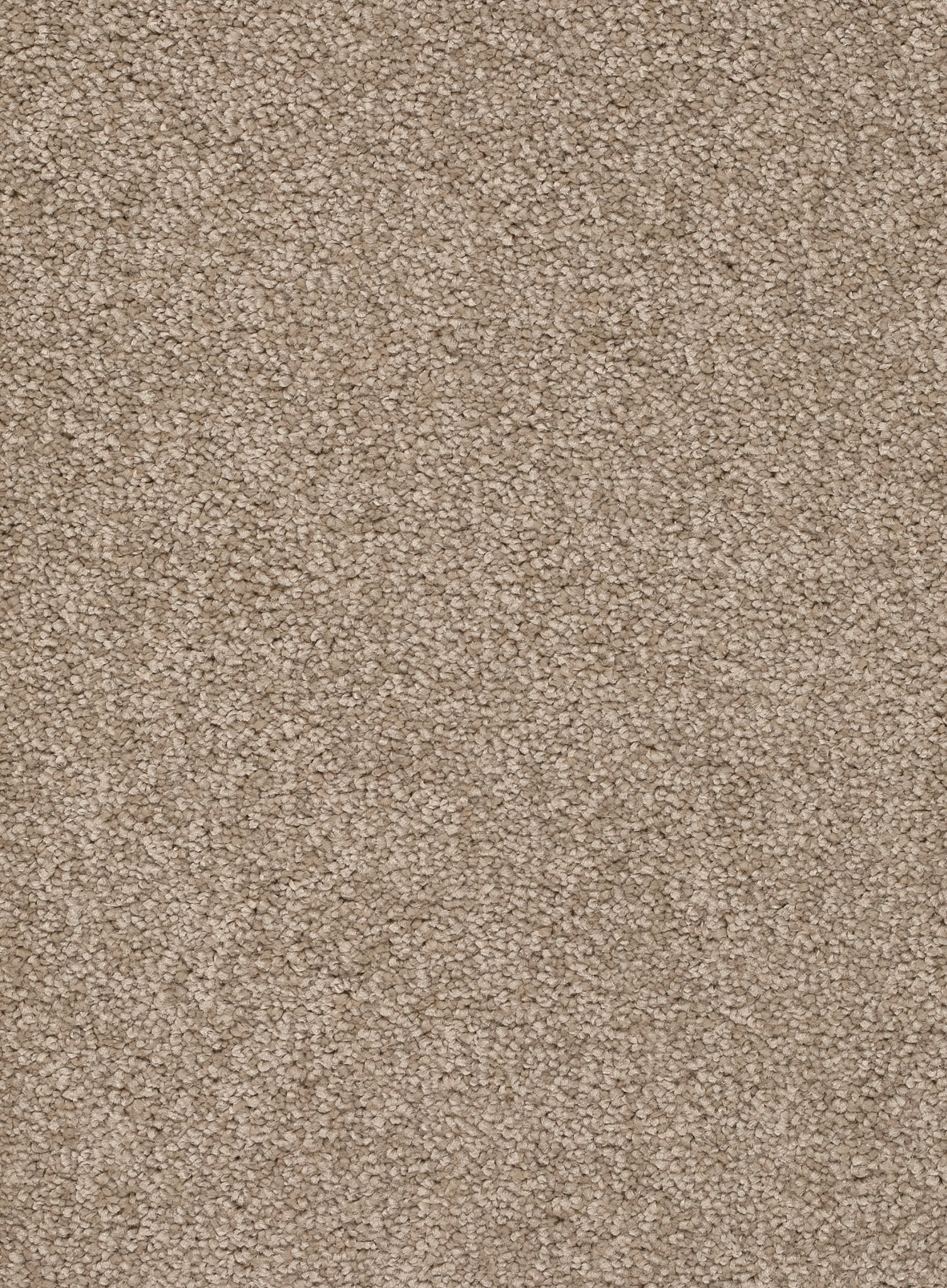 Afbeelding van Homeline 26 Tapijt Rocky 400 cm Kleur 39