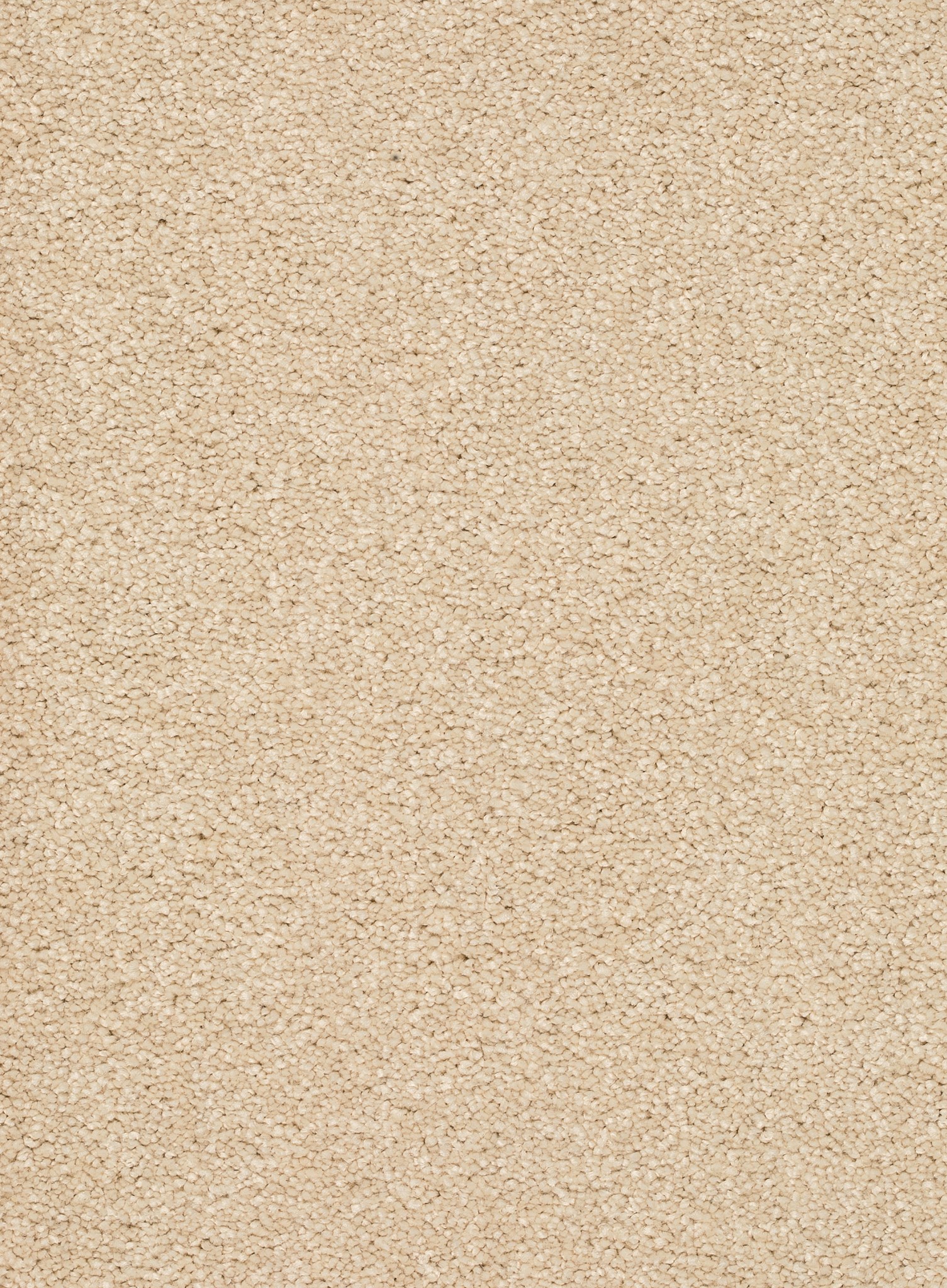 Afbeelding van Homeline 26 Tapijt Rocky 500 cm Kleur 03