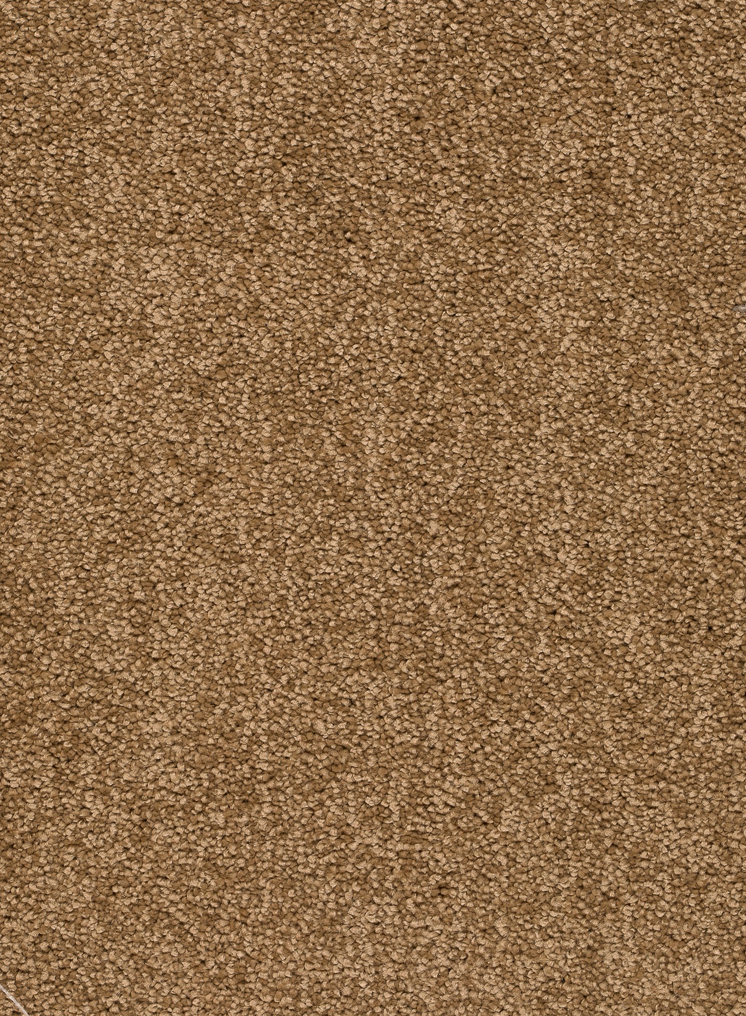 Afbeelding van Homeline 26 Tapijt Rocky 500 cm Kleur 35