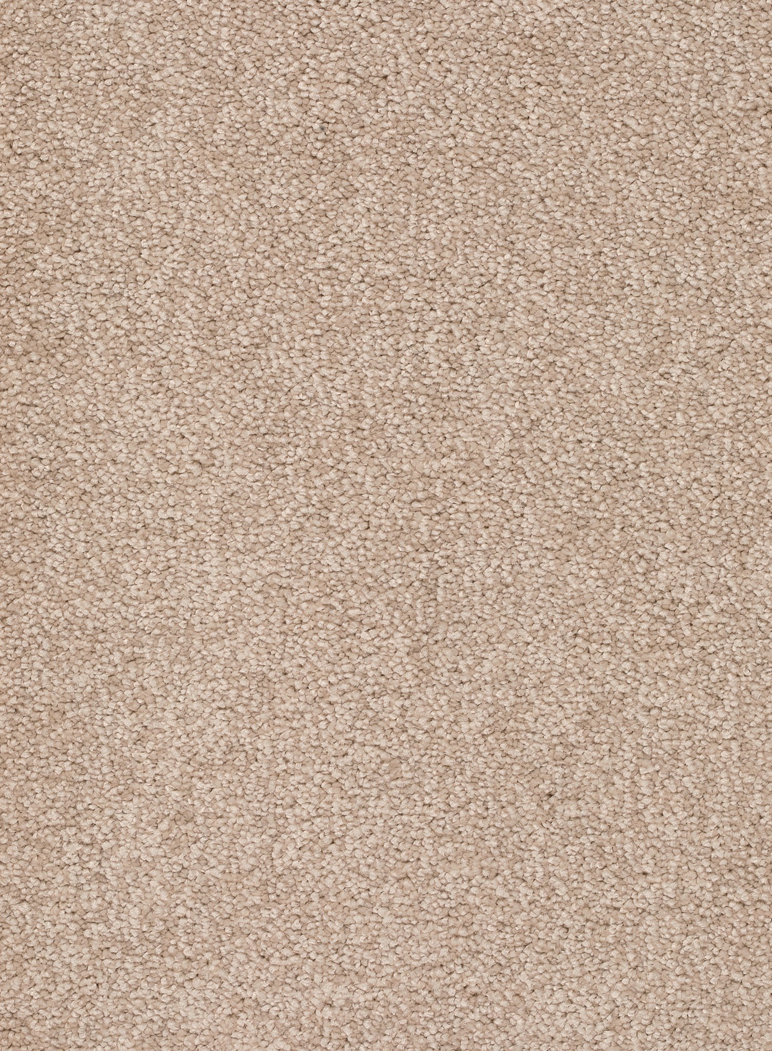 Afbeelding van Homeline 26 Tapijt Rocky 500 cm Kleur 36