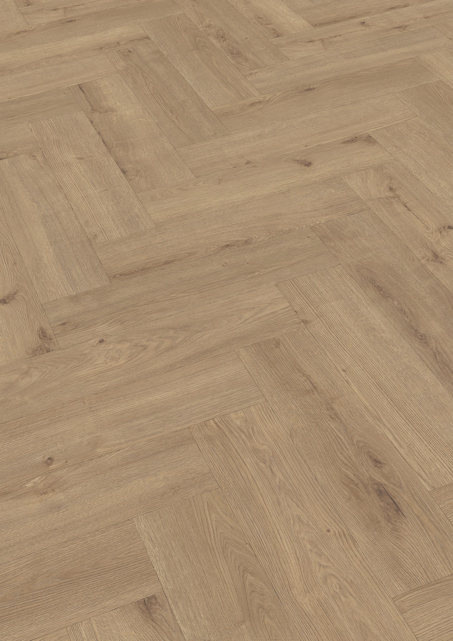 Afbeelding van Edition M6 NL 7001 Visgraat Eik Champagne 620x155x8mm 14st. AC4/32 1,345m²