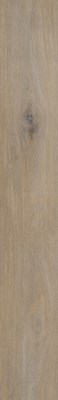 Afbeelding van Elemental Isocore Plank-XL 8476504X Ohrid 1510x220x8mm 8st. 2,658m² *