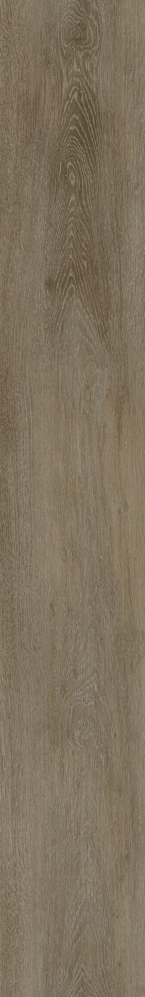 Afbeelding van Elemental Isocore Plank-XL 8476544X Constance 1510x220x8mm 8st. 2,658m²