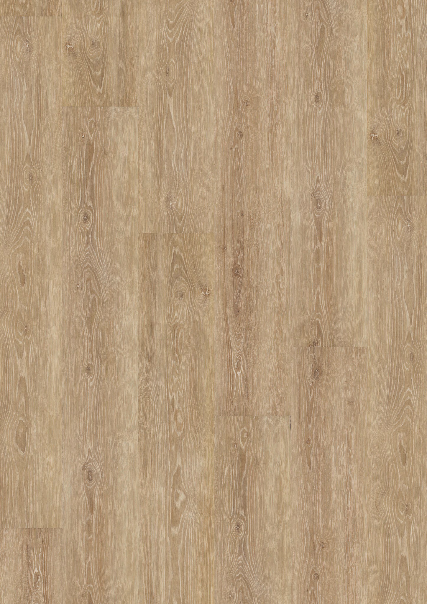 Afbeelding van LVT Design 555 DB 5308 Perfect Ivory Oak 1500x228x2,5mm 3,43m2