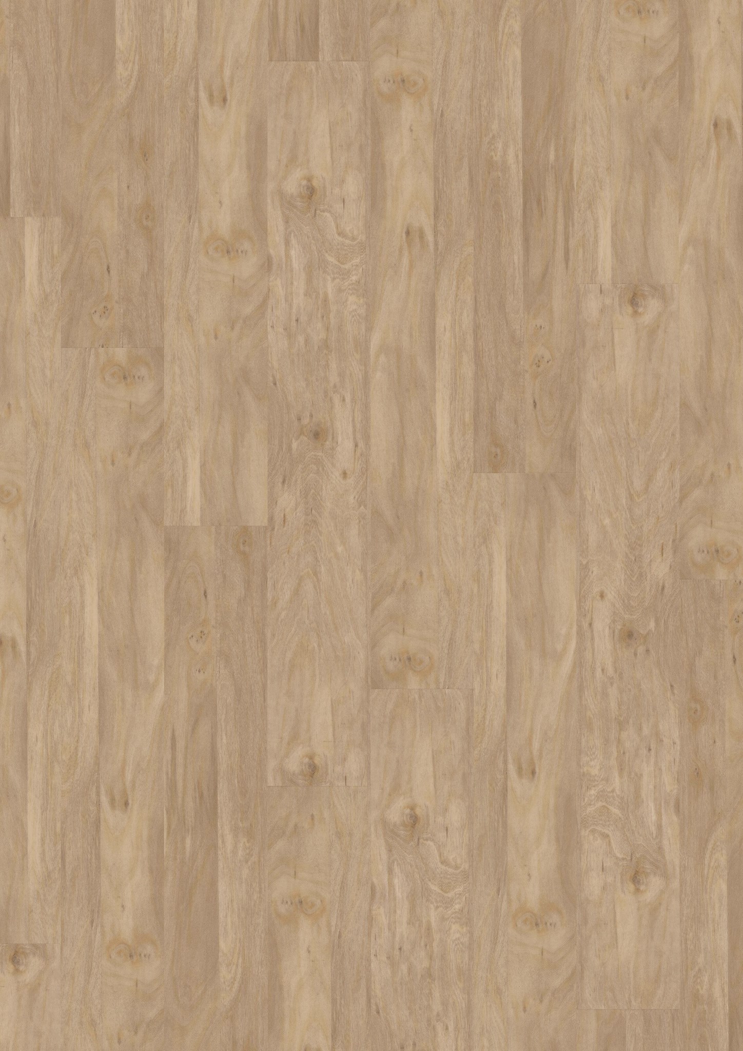 Afbeelding van LVT Design 555 DB 5413 Bleached Elm 1219x177x2,5mm 3,25m2