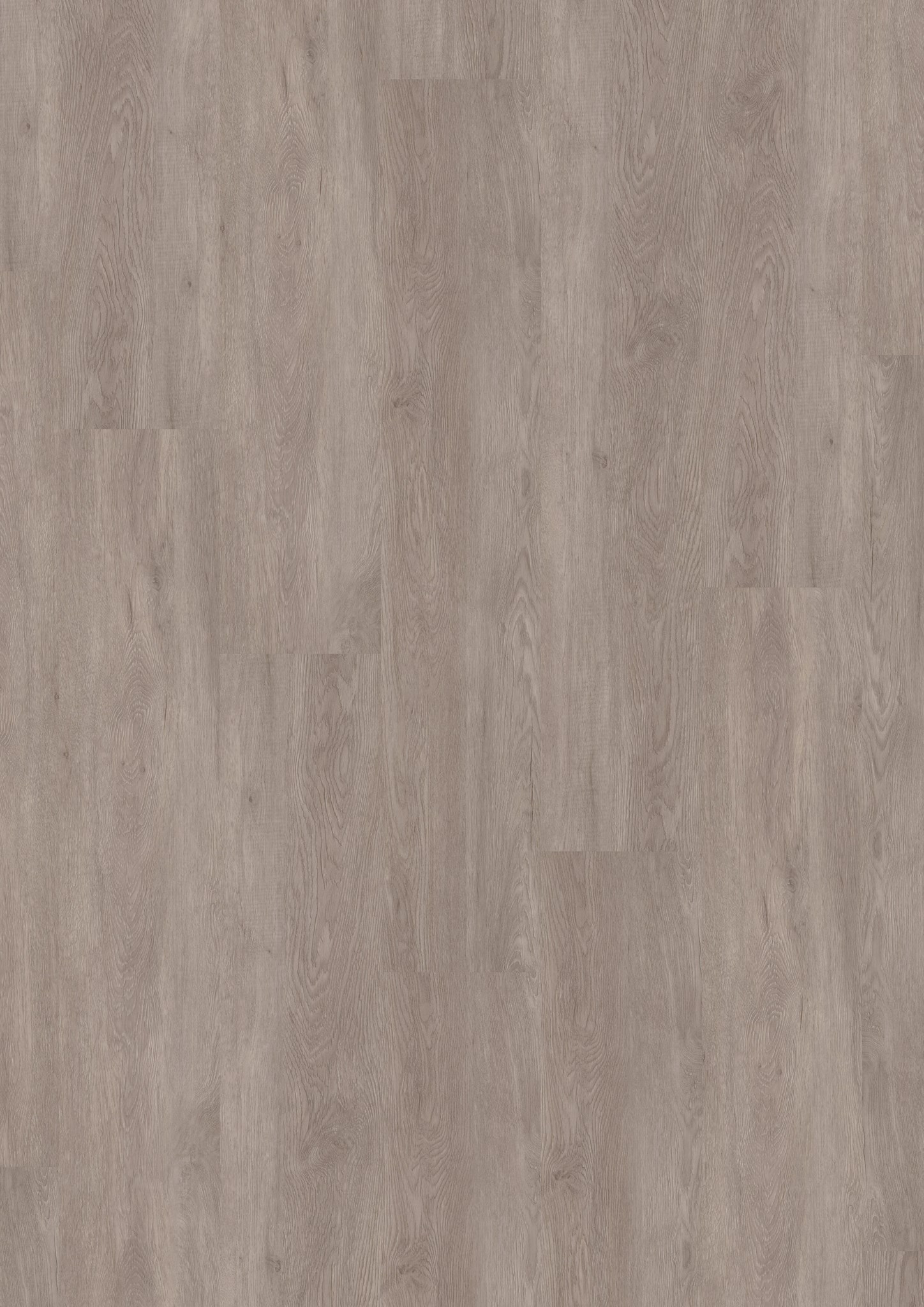 Afbeelding van LVT Design 555 DB 5425 African Grey Oak 228x1219x2,5mm 3,35m2